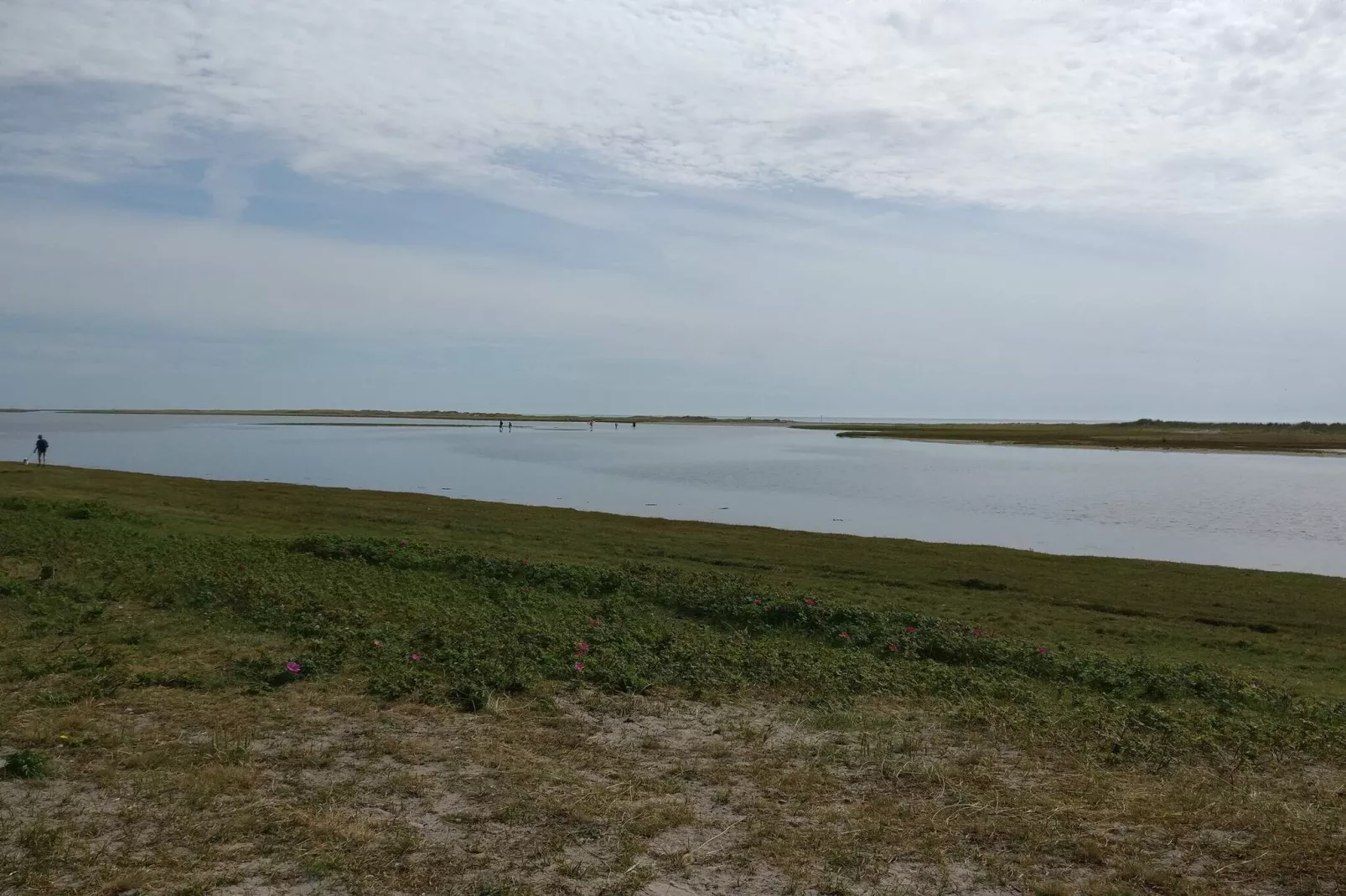 Maison de vacances pour 4 a Læsø-Vue sur l'eau