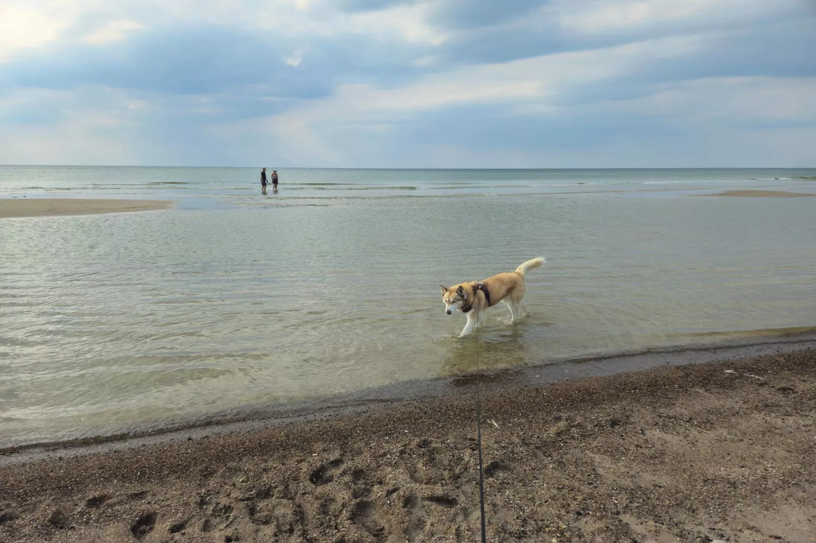 Luxury Pool Villa Retreat - By Traum Ferienwohnungen-Water view
