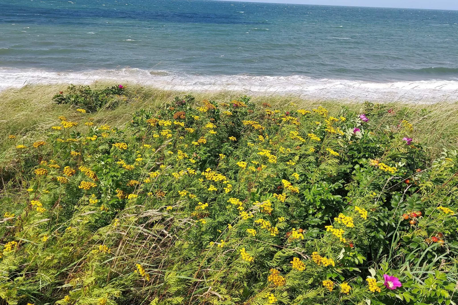 5 Personen Ferienhaus in Græsted-Wasserblick
