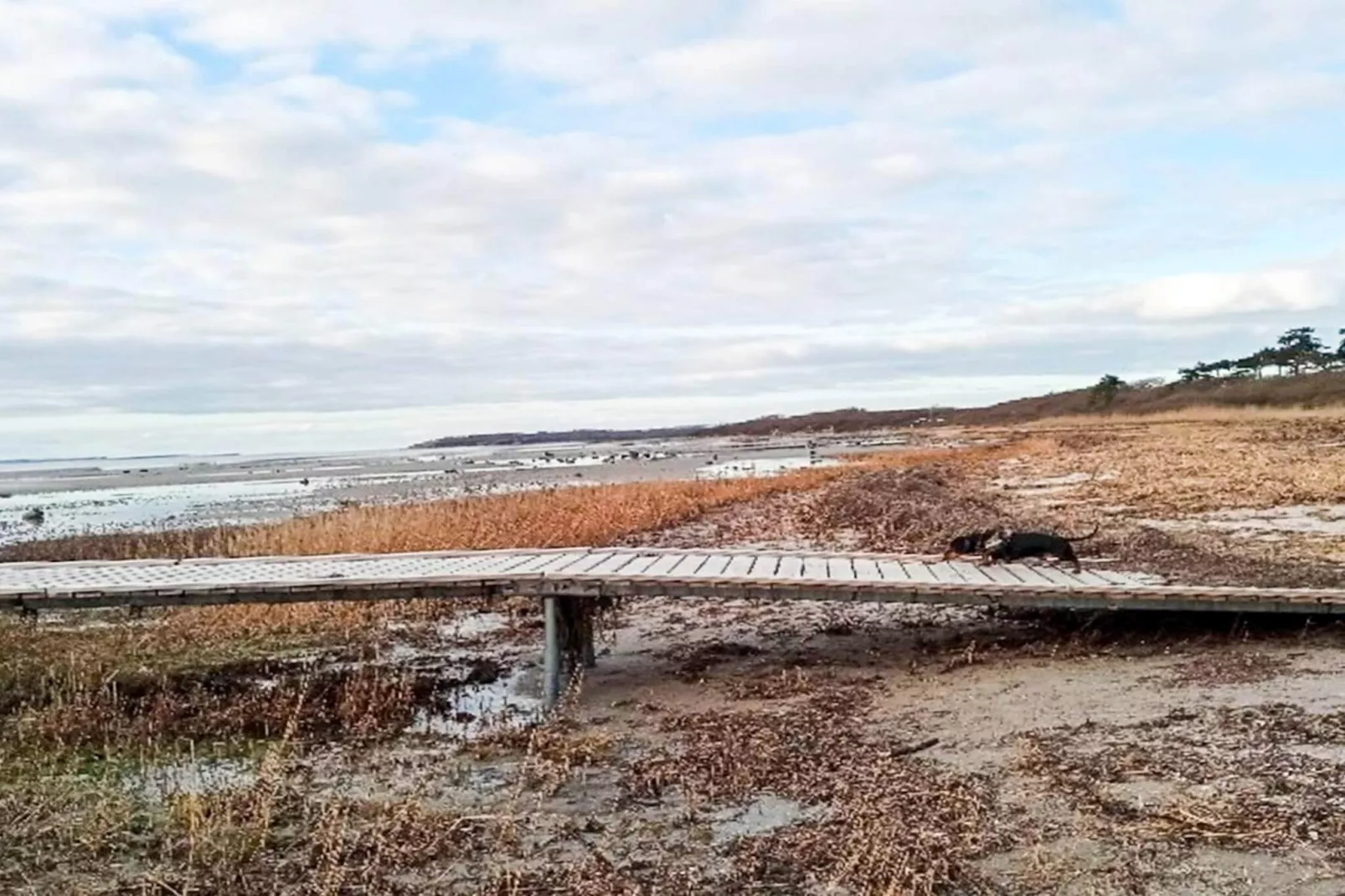 4 Personen Ferienhaus in Jægerspris-By Traum-Wasserblick