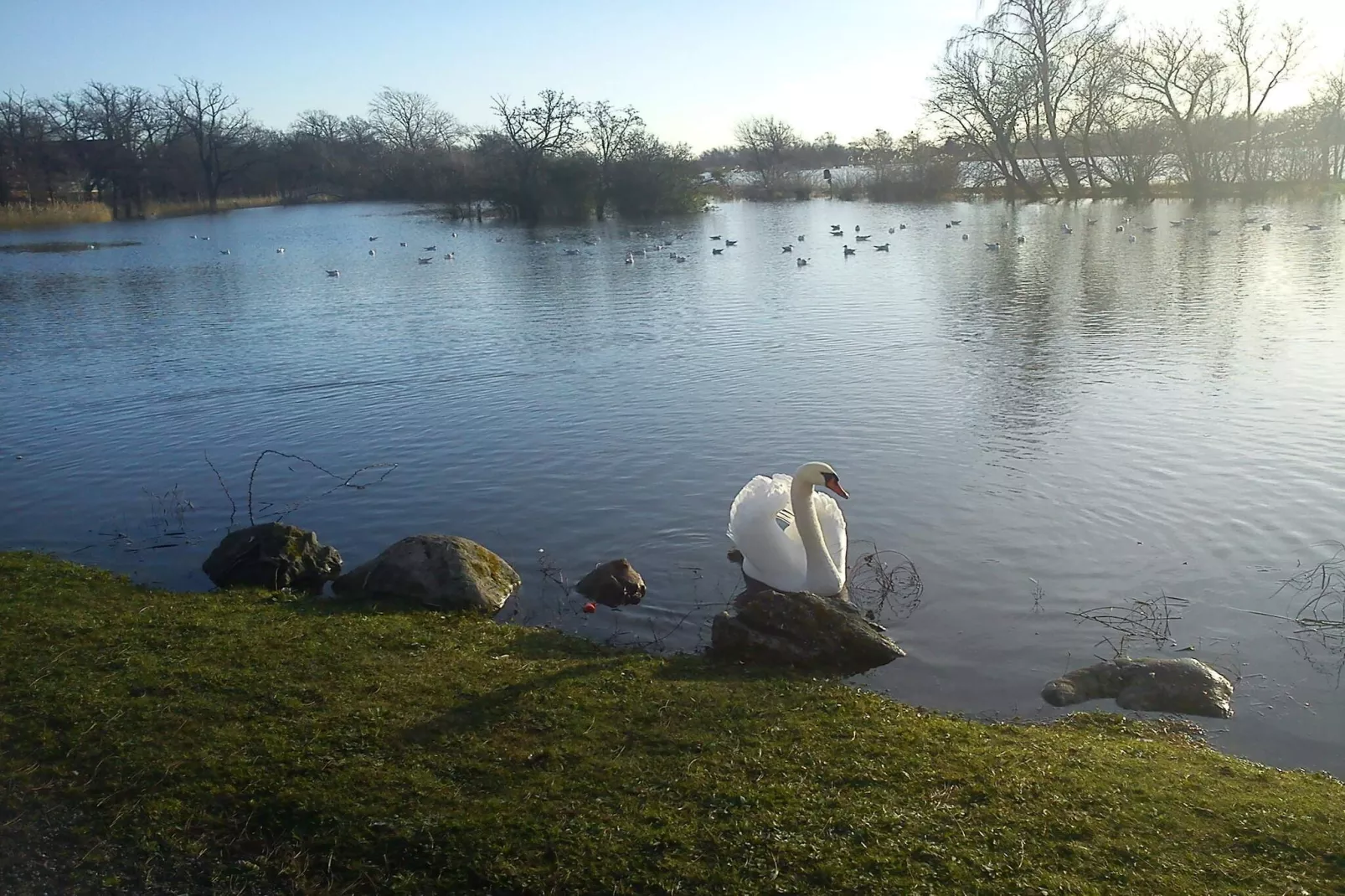 4 Personen Ferienhaus in Nakskov-By Traum-Wasserblick