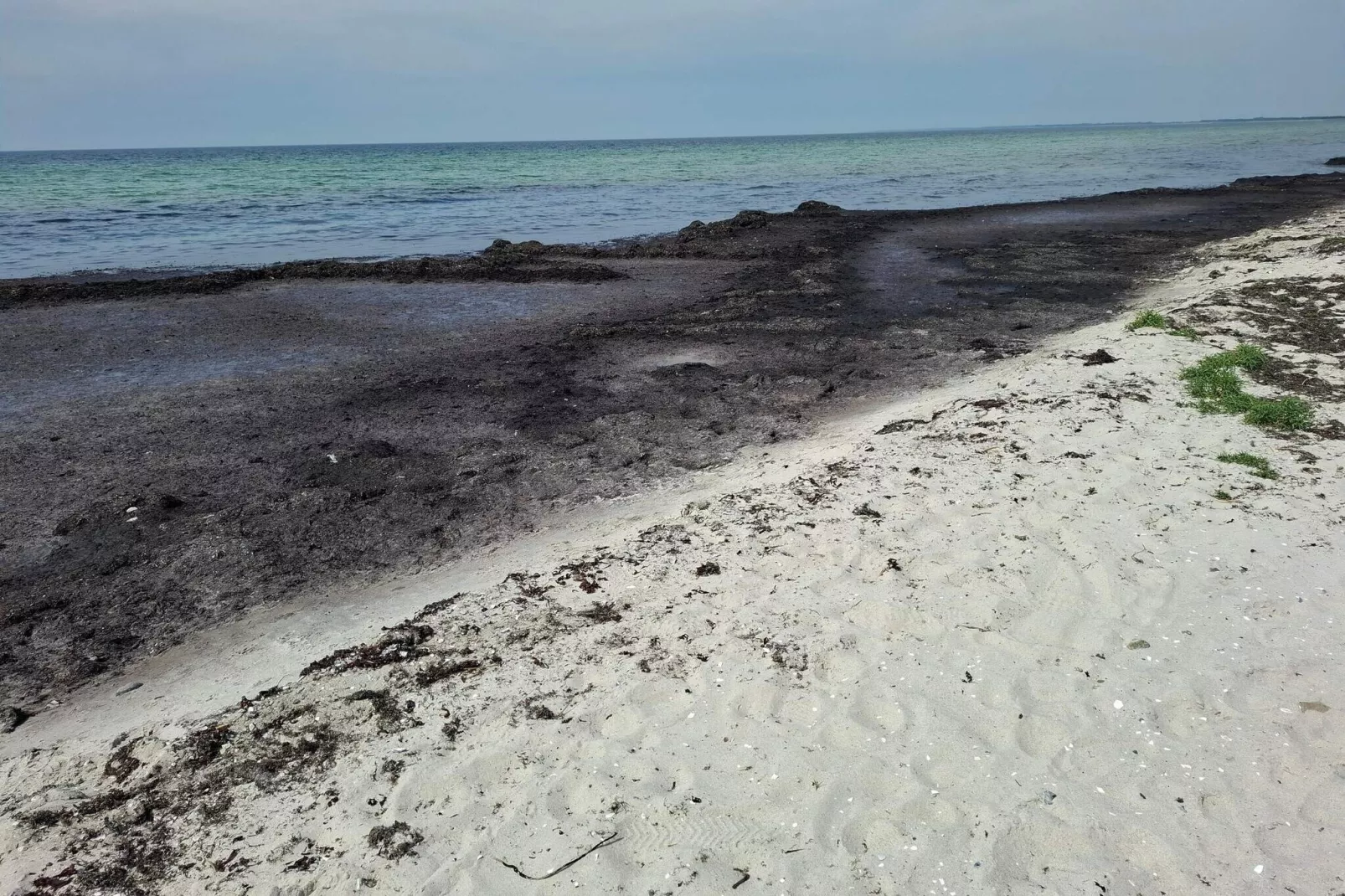 Maison de vacances pour 6 a Dannemare-By Traum-Vue sur l'eau