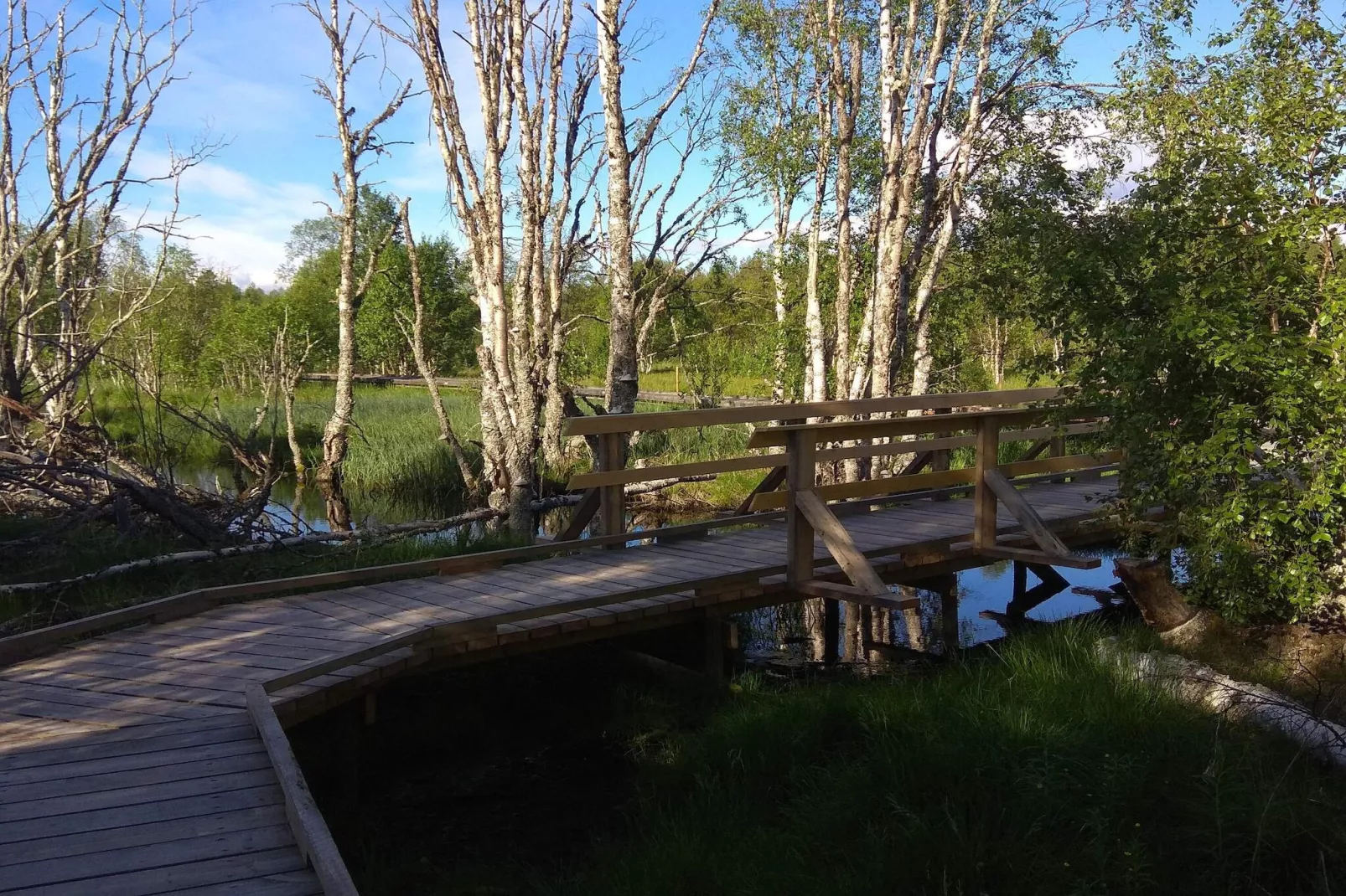 Rotes Bauernhaus in der Nähe von Forsheda-Wasserblick