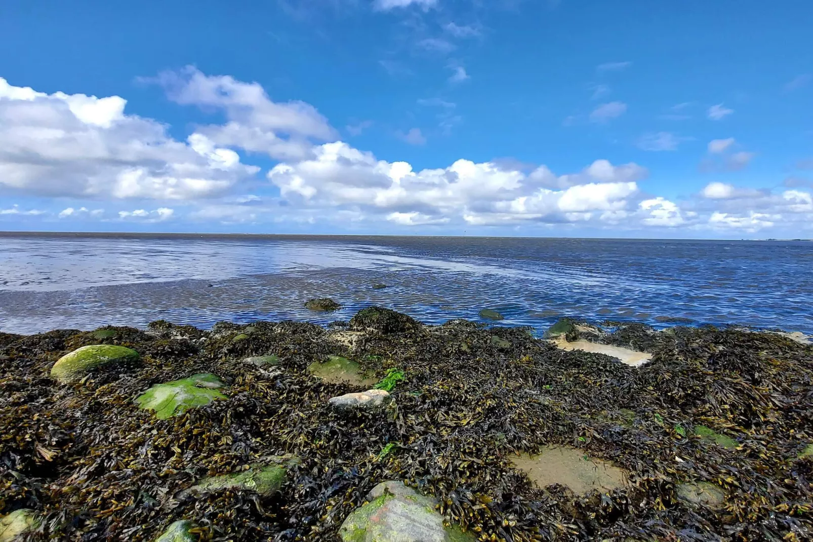 Moderne Kustenrefugium -- By Traum Ferienwohnungen-Wasserblick