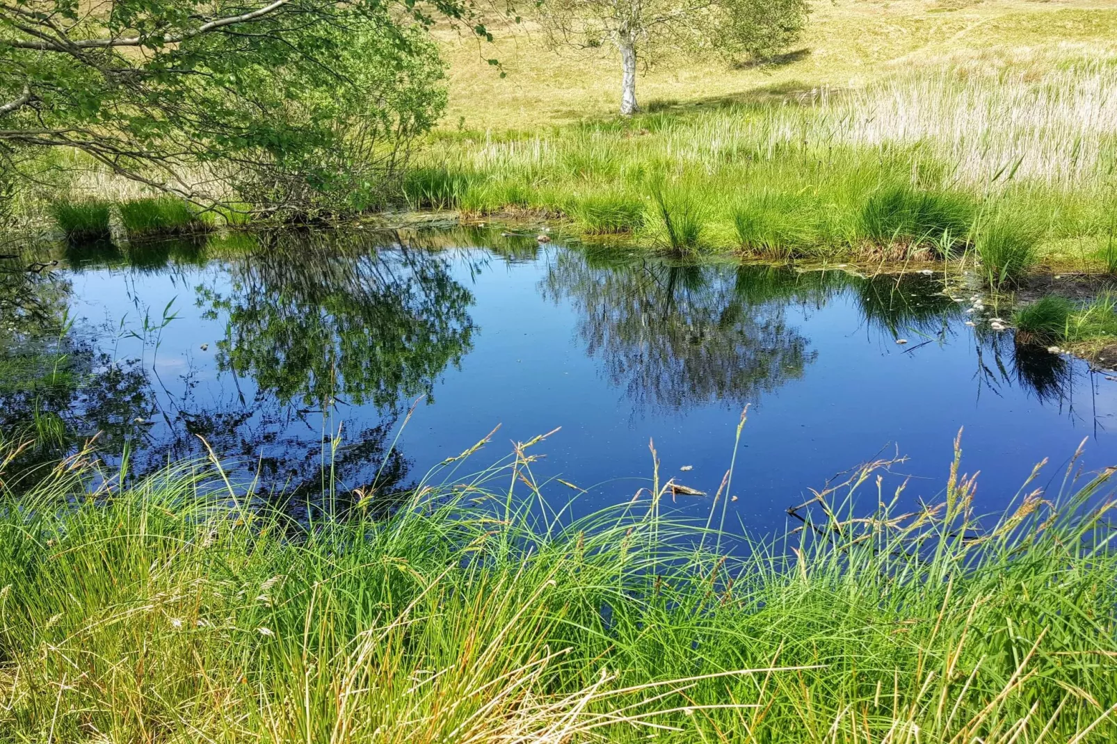 Retraite de luxe avec piscine -- By Traum Ferienwohnungen-Vue sur l'eau