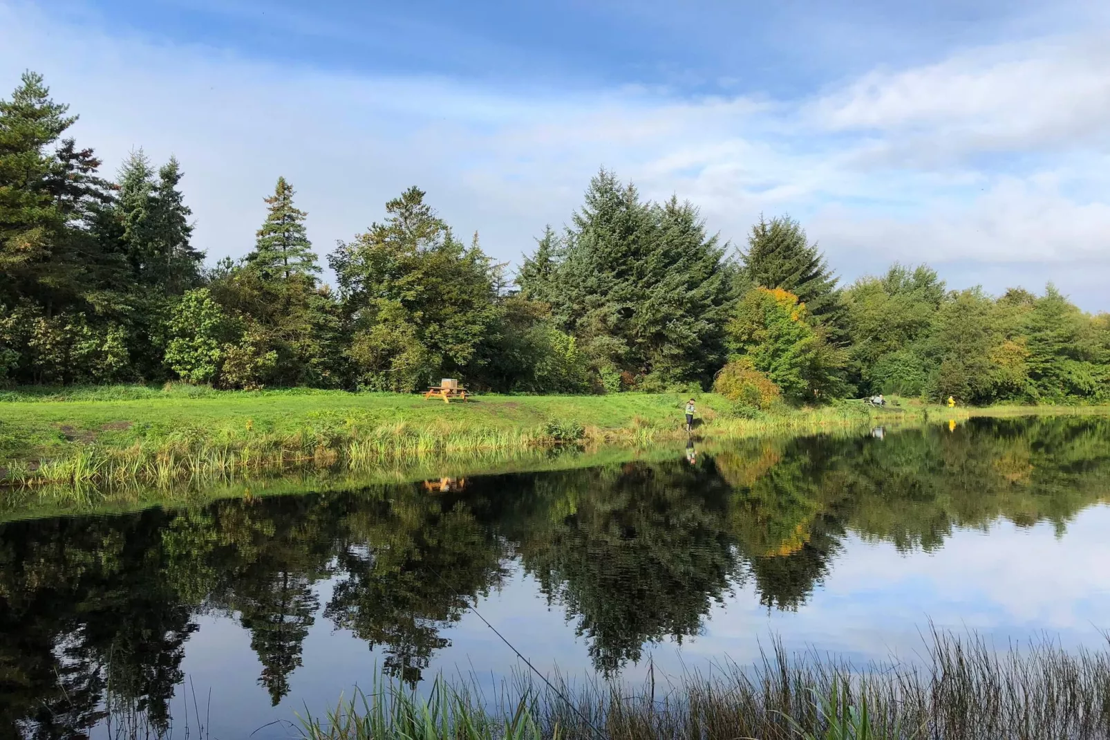 4 Personen Ferienhaus in Oksbøl-By Traum