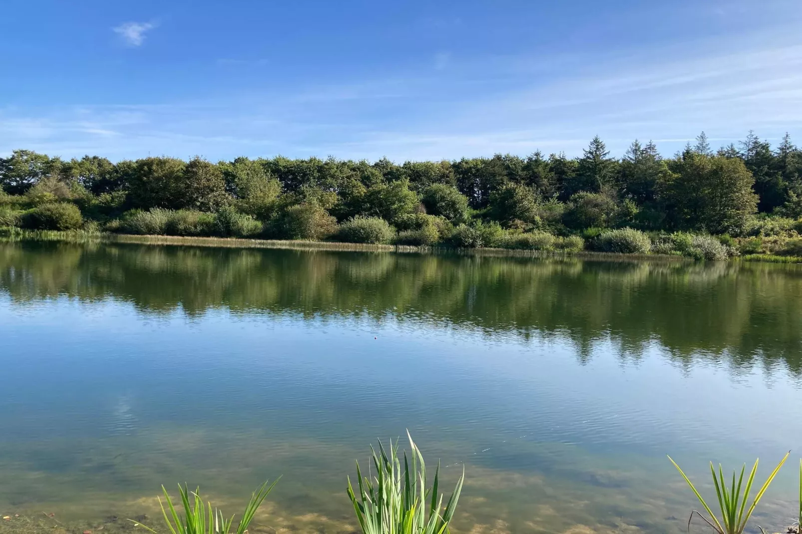 4 Personen Ferienhaus in Toftlund-By Traum-Wasserblick