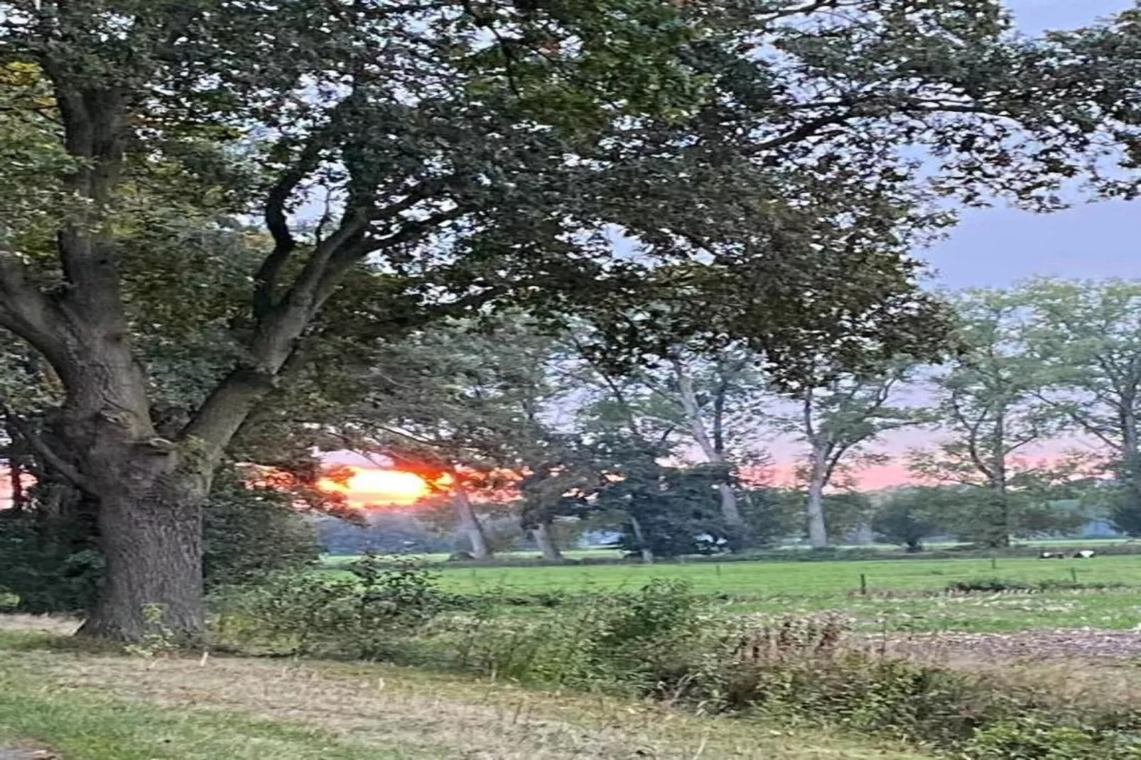 Vakantiepark De Lochemse Berg 1-Areas within 20km in summer