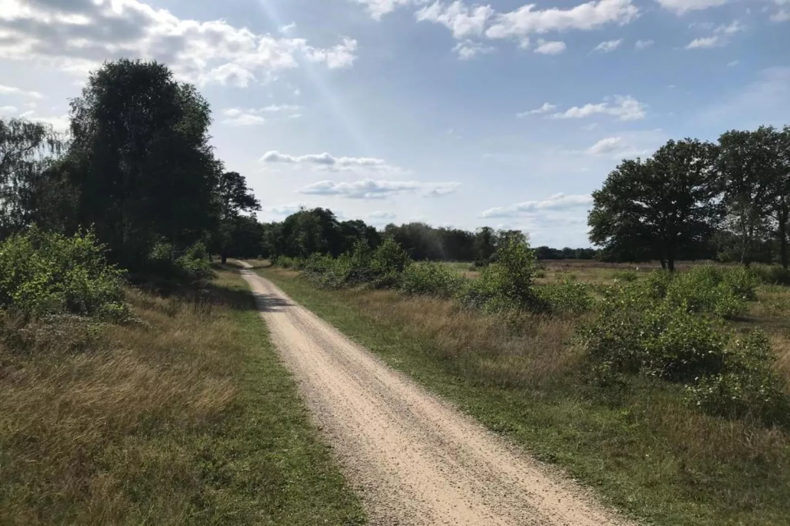 Bospark Markelo 2-Areas within 20km in summer