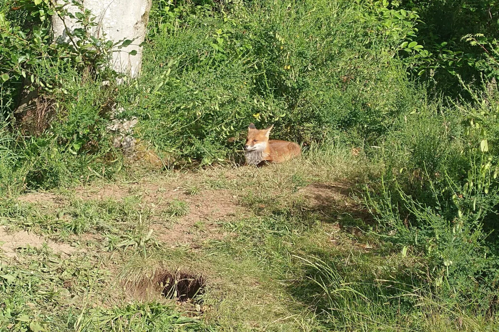 6 person holiday home in Nibe-By Traum-Water view