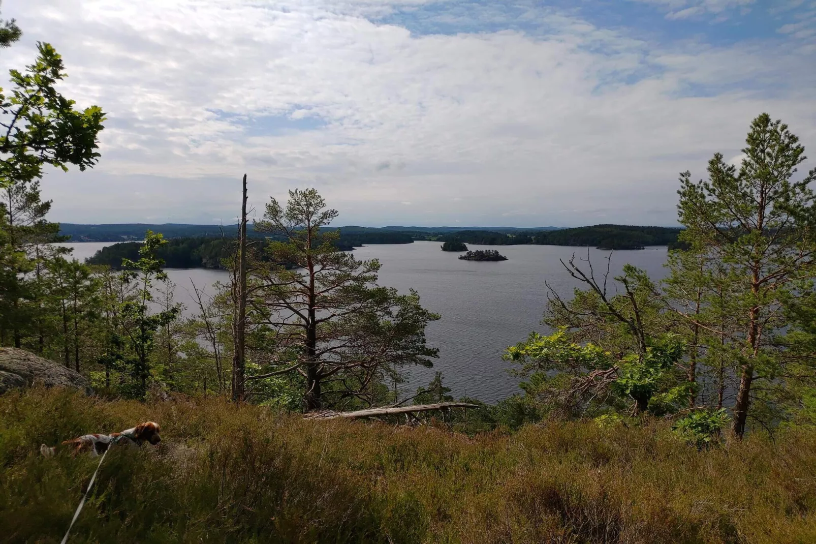 Maison de vacances pour 4 a HORN-By Traum-Vue sur l'eau