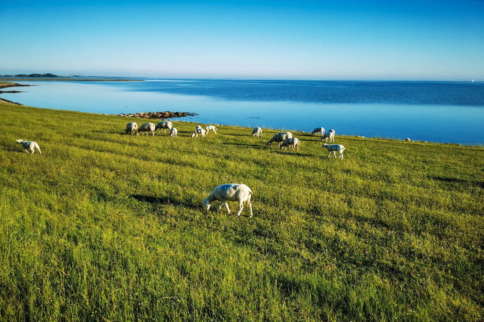 FeWo Lemk 16 1 OG-Areas within 5km in summer