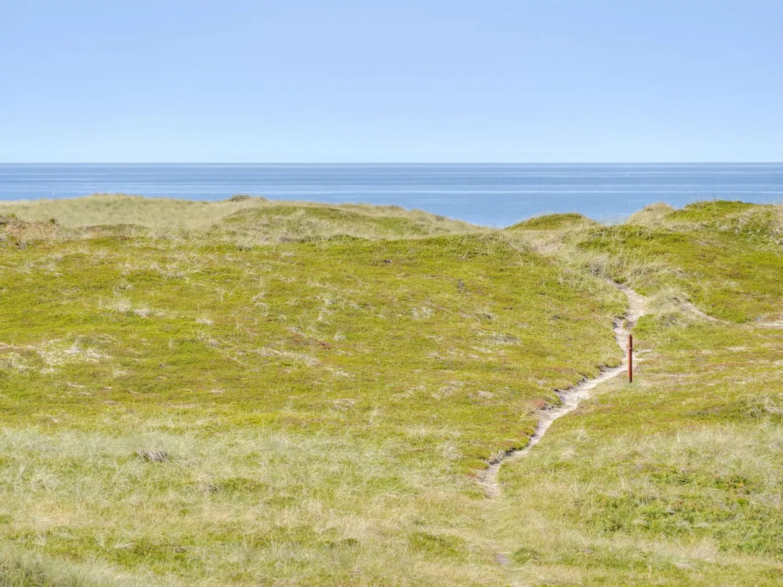 "Bernice" - 150m from the sea-Draußen