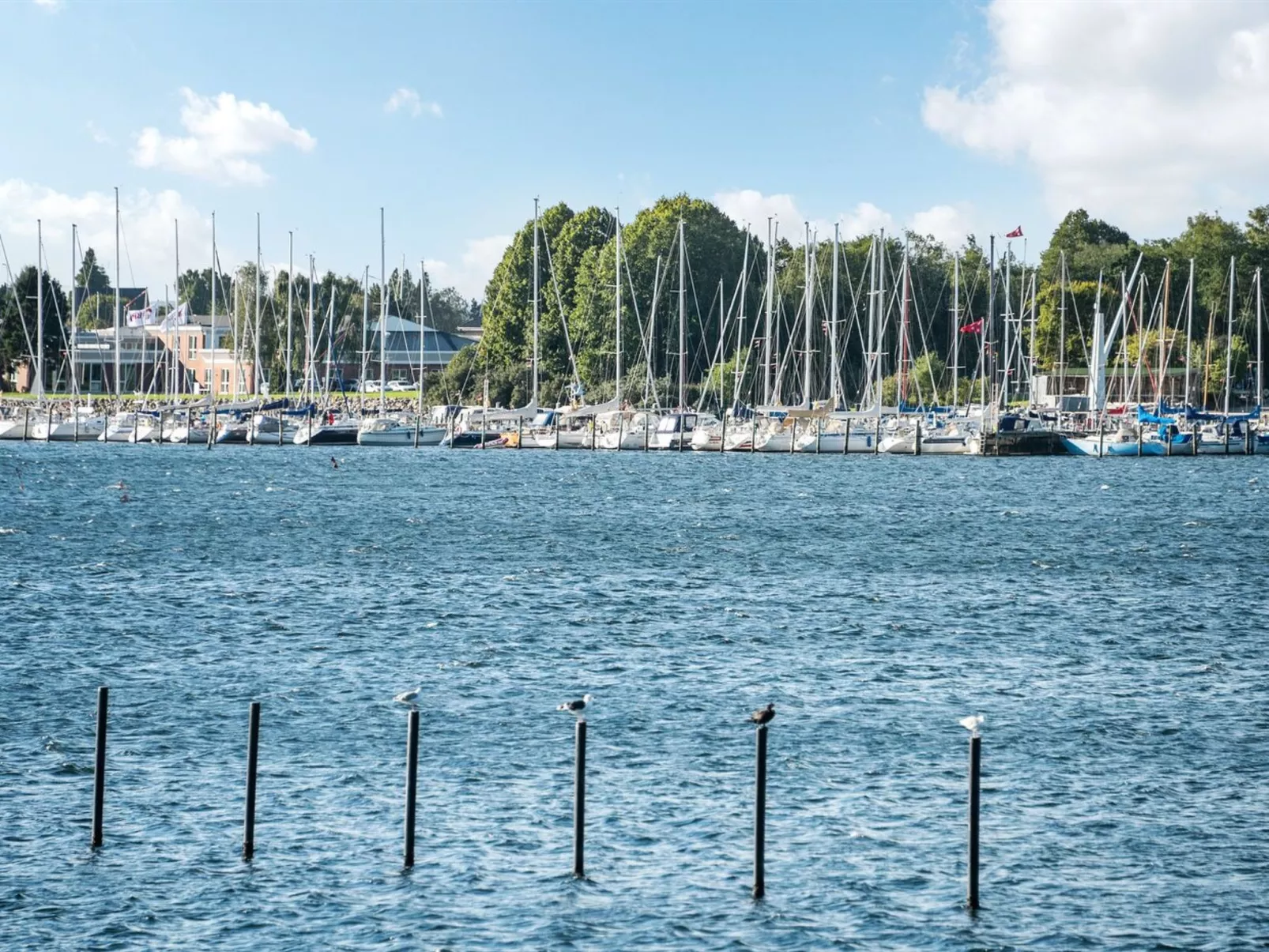 "Joar" - 5m to the fjord-Outside