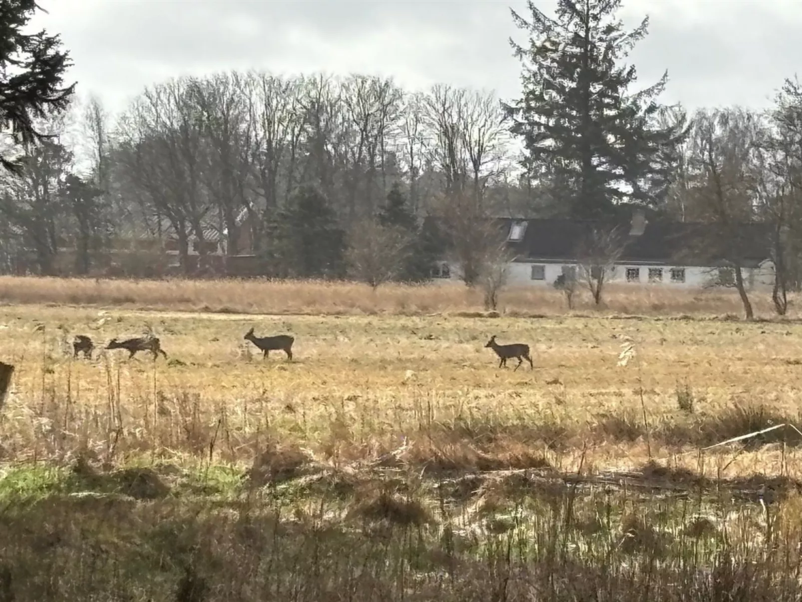 "Marla" - 1.1km from the sea-Outside