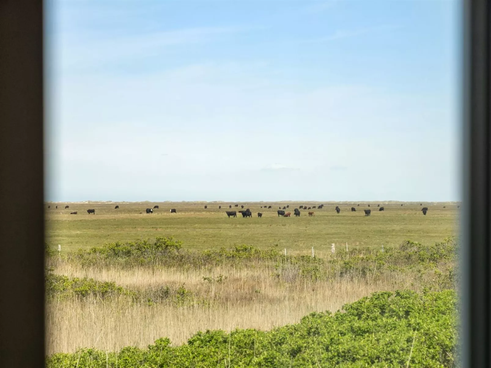 "Hermoth" - 300m from the sea-Draußen