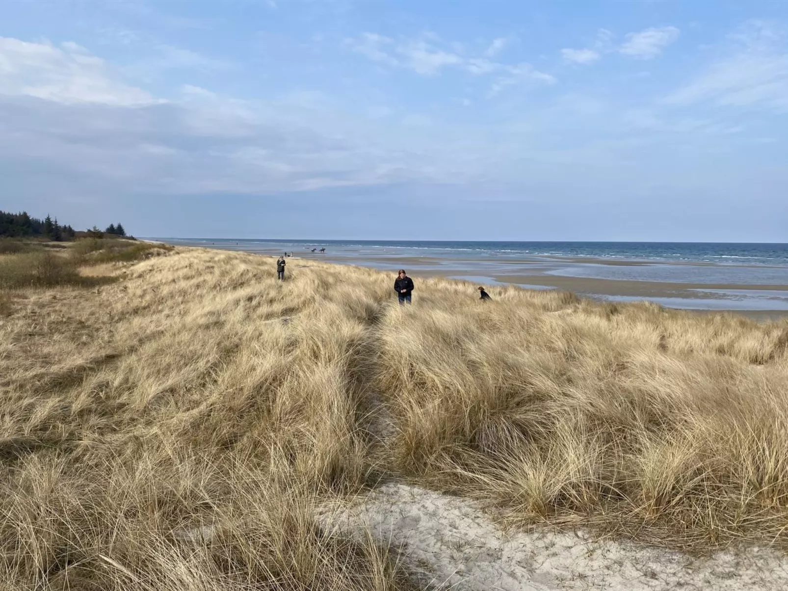 "Kajo" - 800m from the sea-Draußen