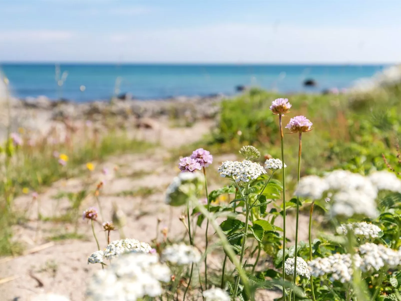 "Gjuro" - 50m from the sea-Draußen