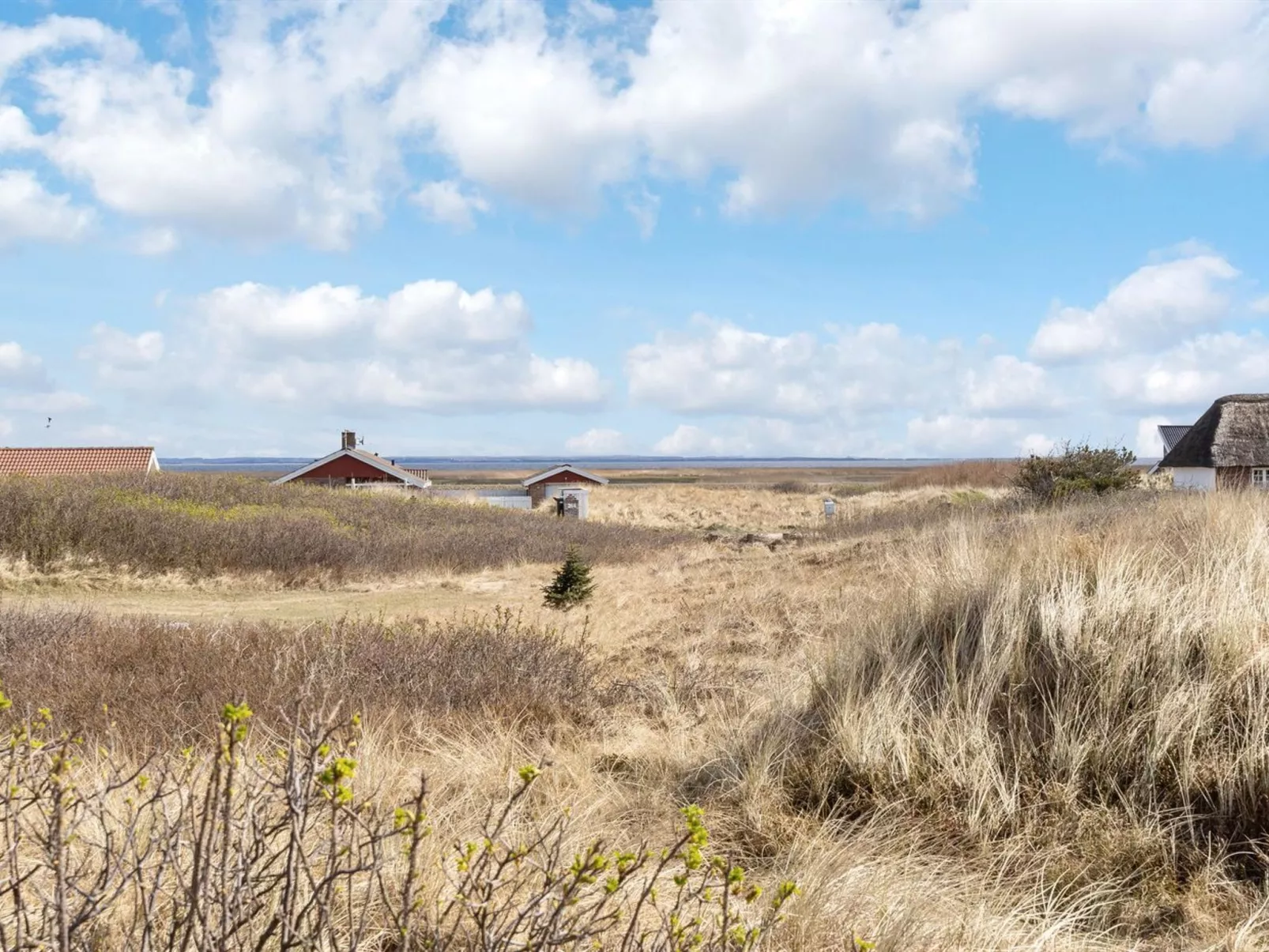 "Asalonis" - 250m from the sea-Outside