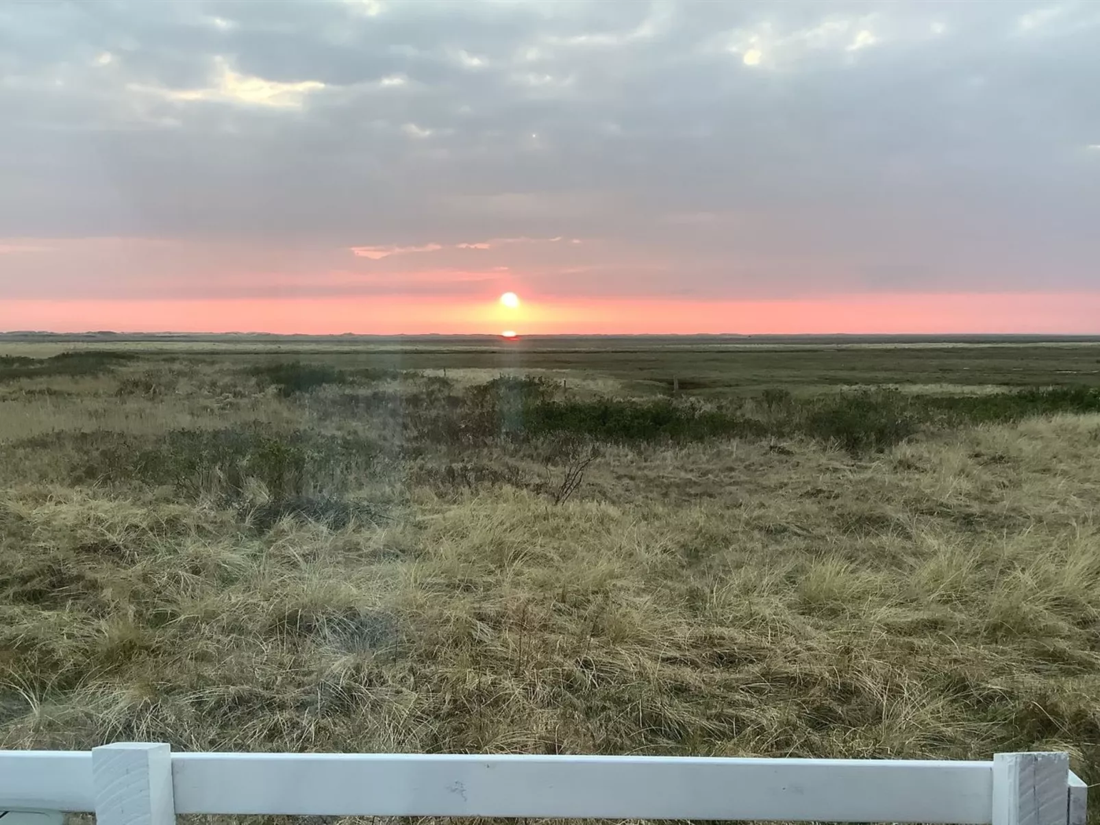 "Blomma" - 350m from the sea-Draußen