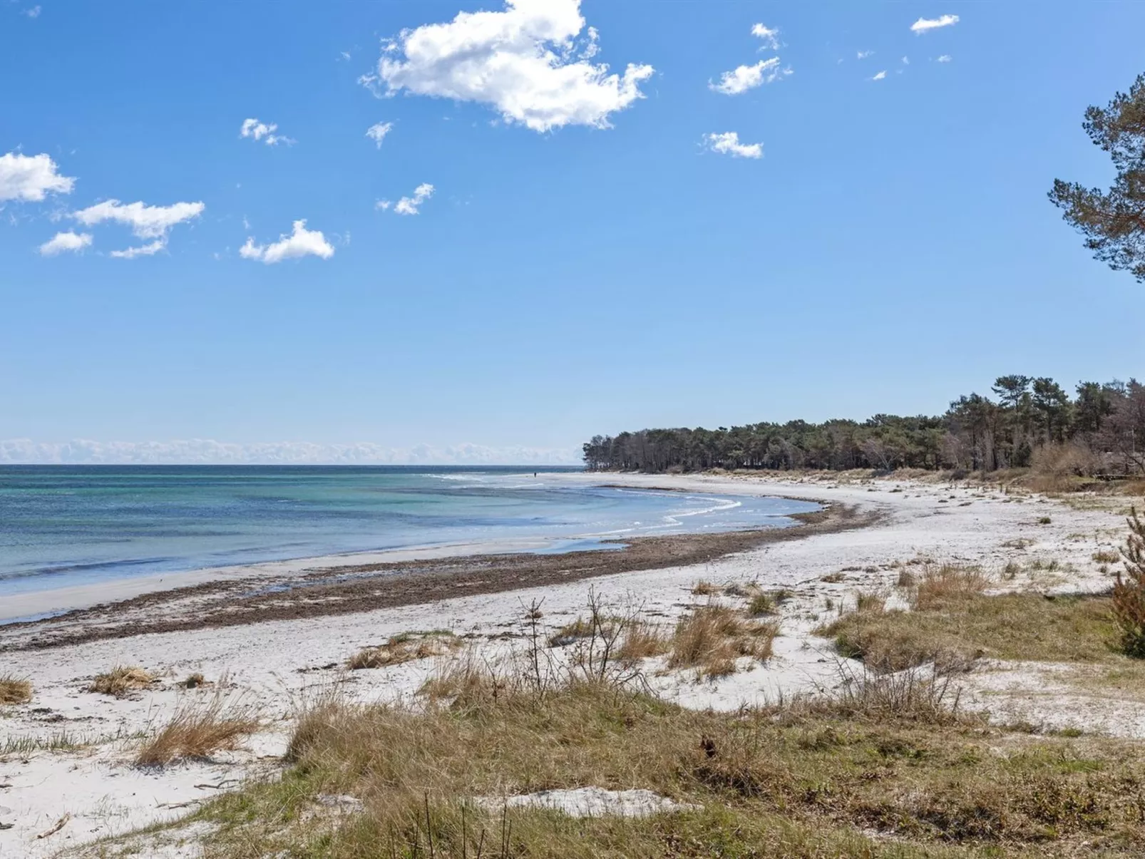 "Botolphus" - 20m from the sea-Dehors