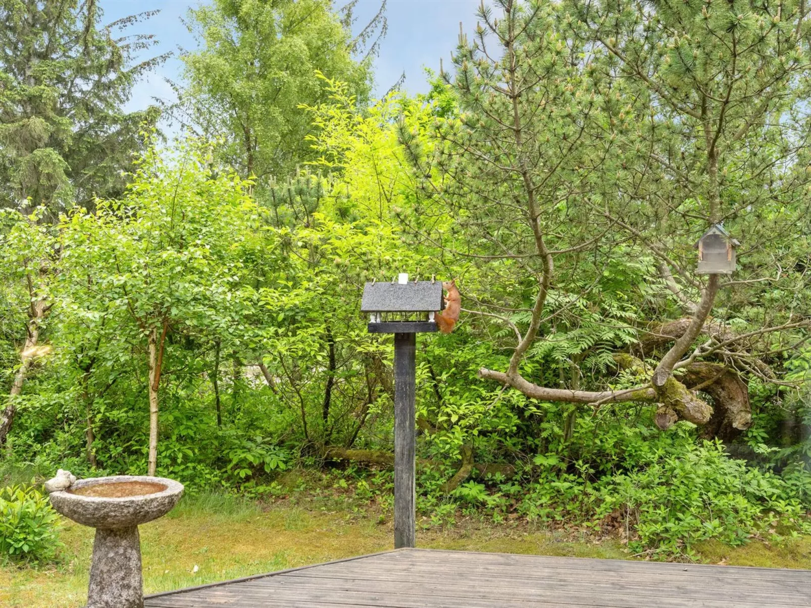 "Yonna" - 400m from the sea-Draußen