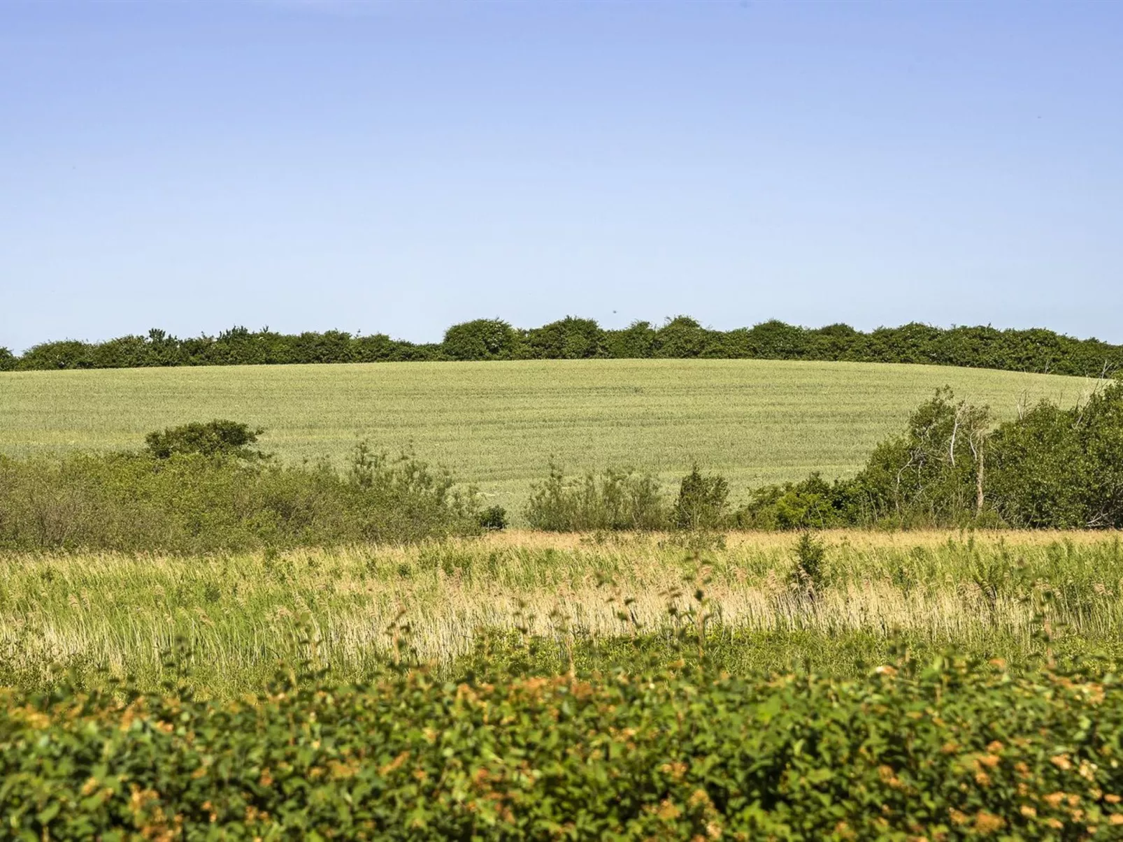 "Kierstine" - 100m from the sea-Dehors