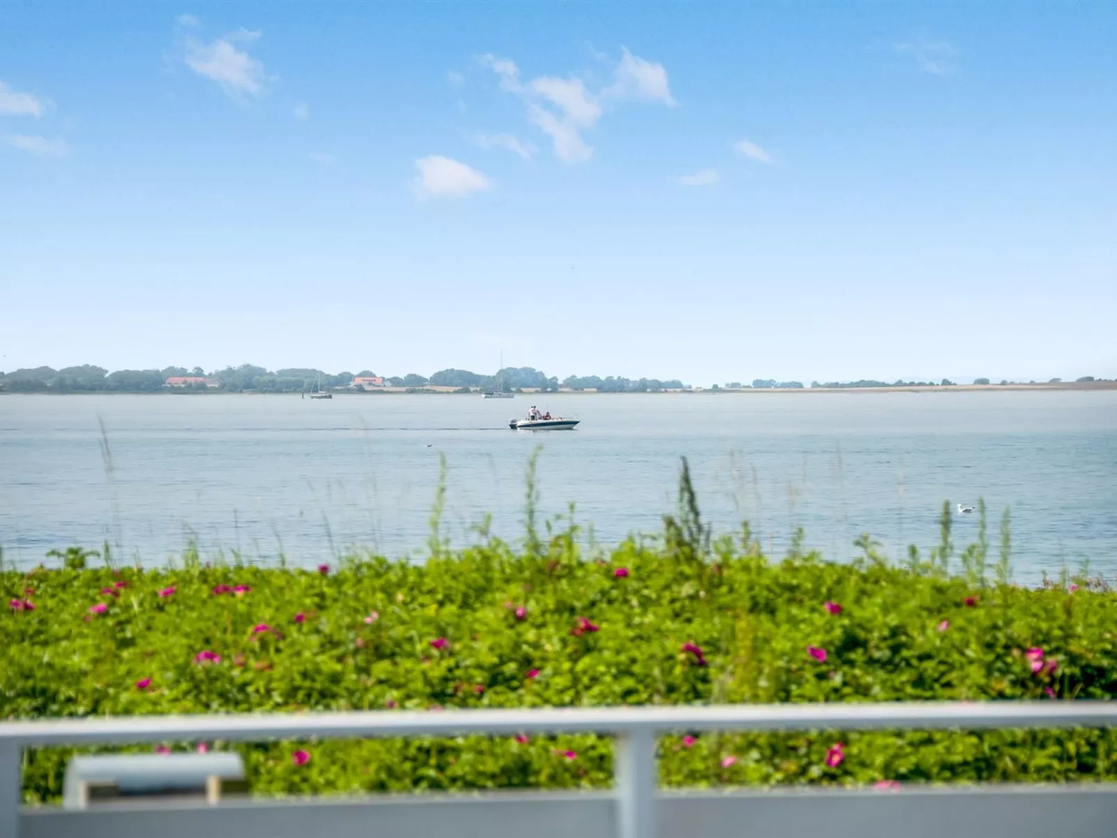 "Arnwith" - 20m from the sea-Outside