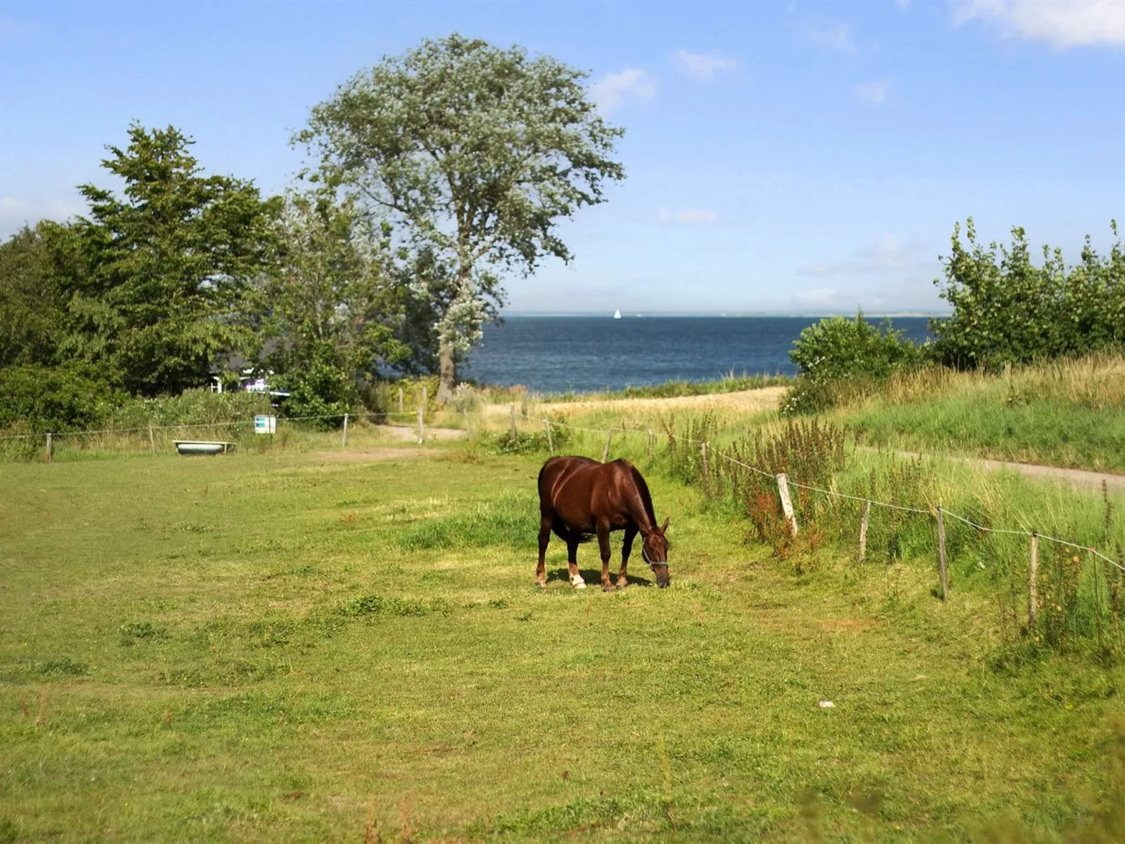 "Ady" - 150m from the sea-Outside