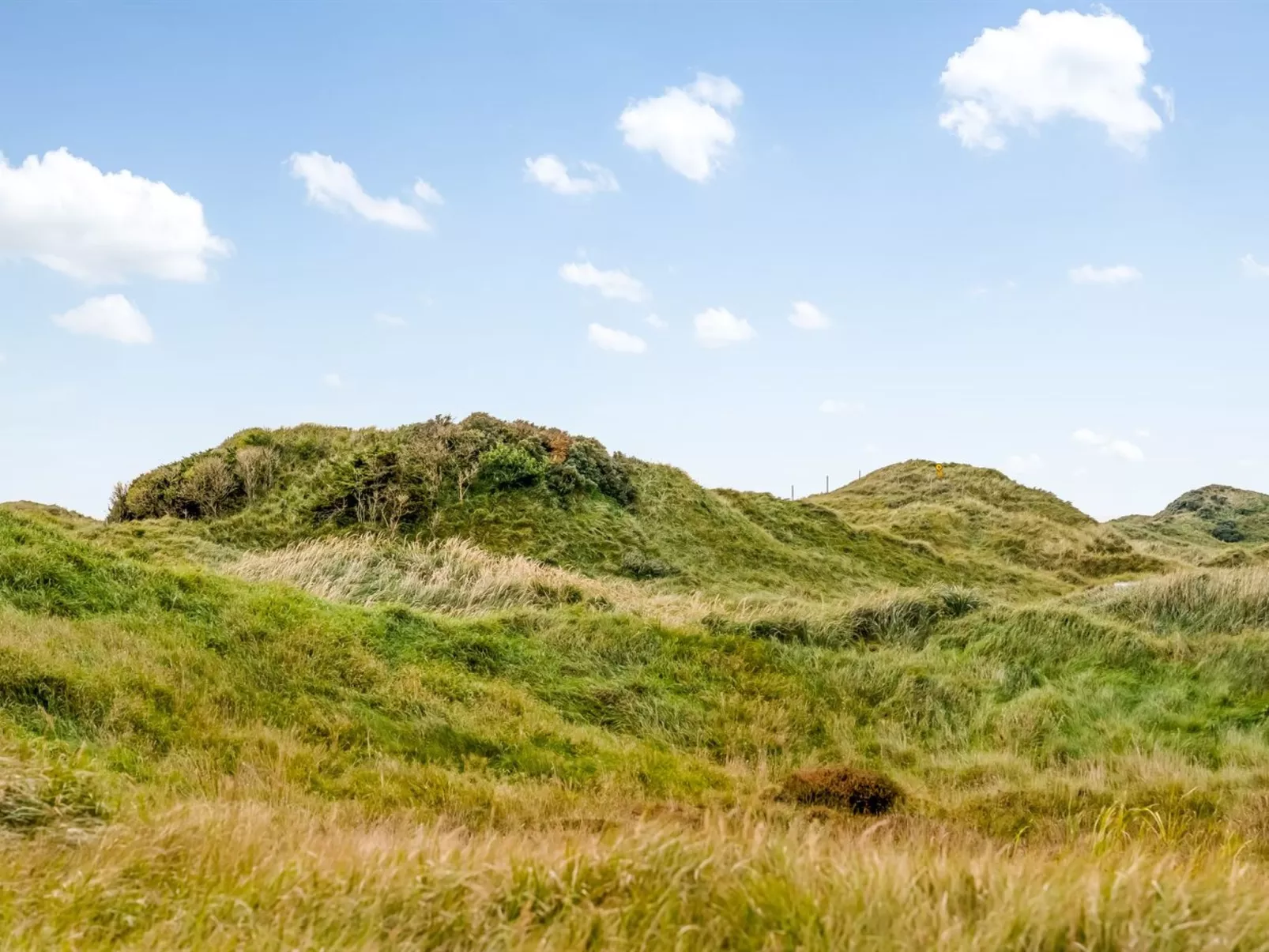 "Tarvo" - 400m from the sea-Draußen