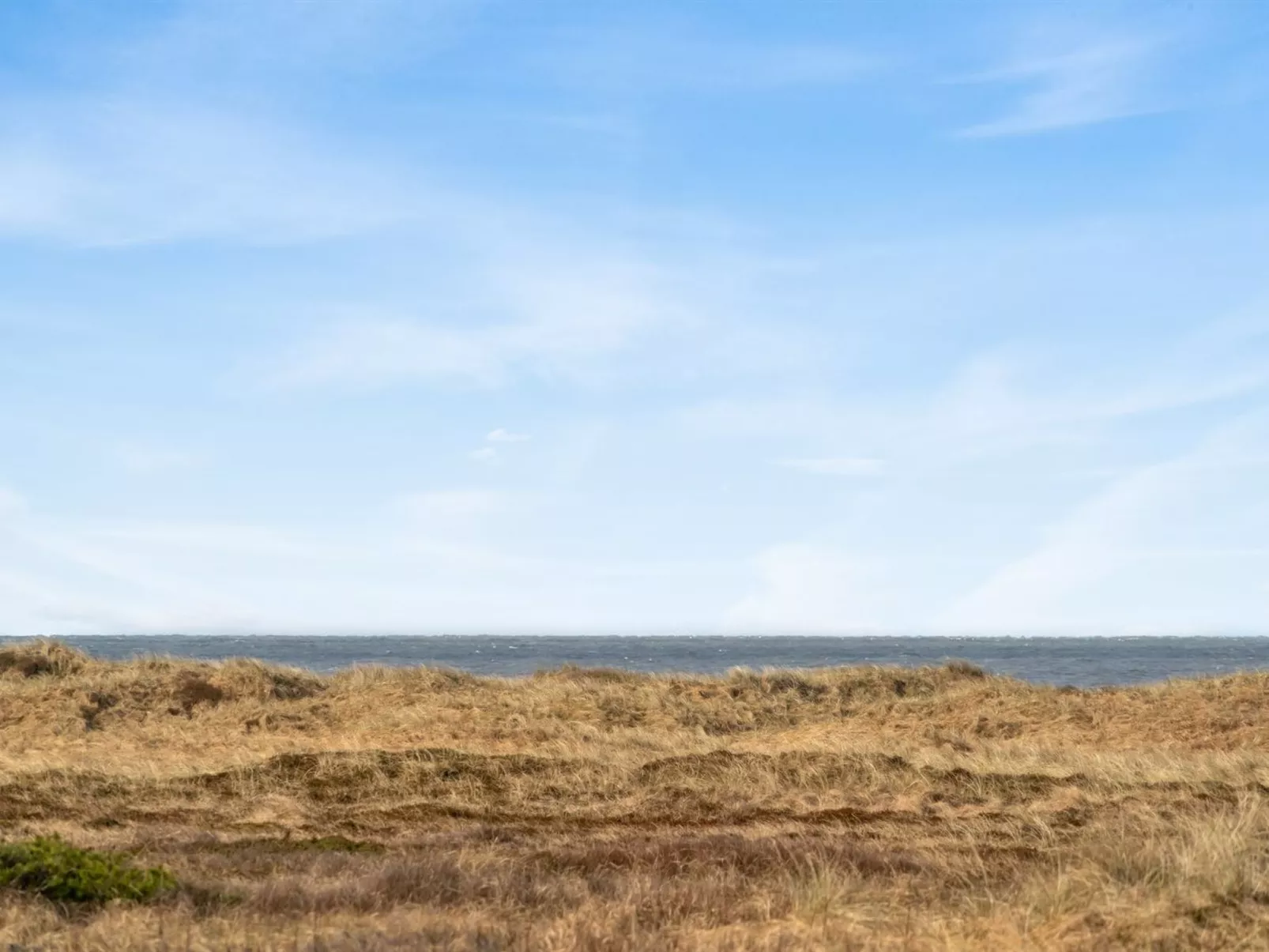 "Zaharinka" - 300m from the sea-Outside