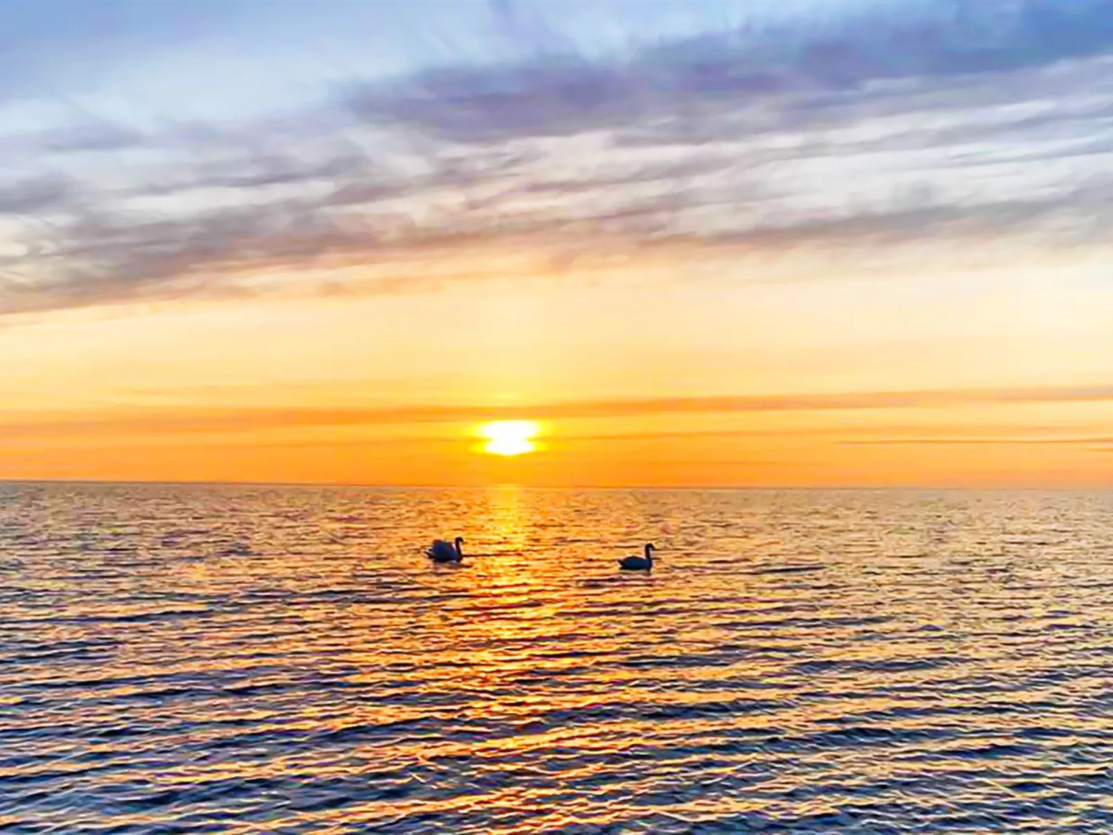 "Stacie" - 10m from the sea-Draußen