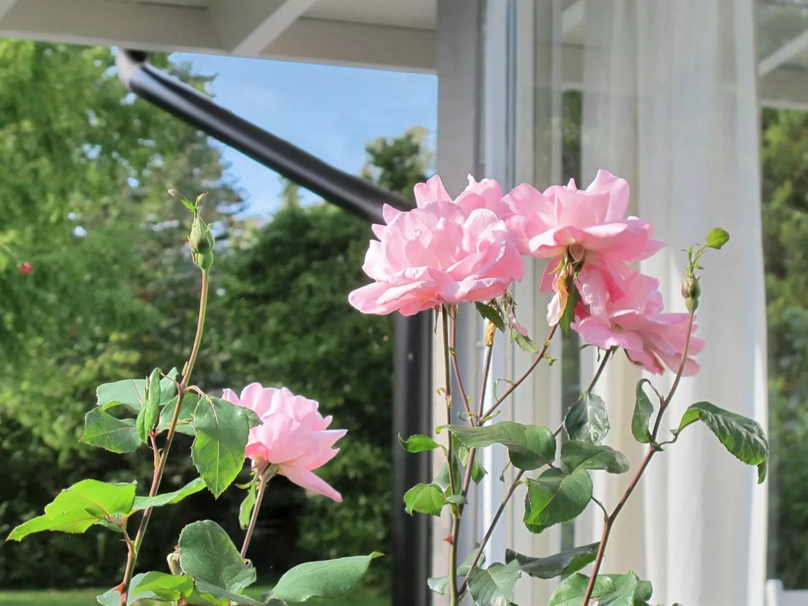 "Claudette" - 1km from the sea-Inside