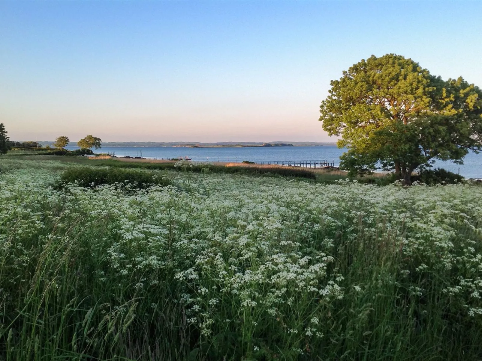 "Bibi" - 200m from the sea-Outside