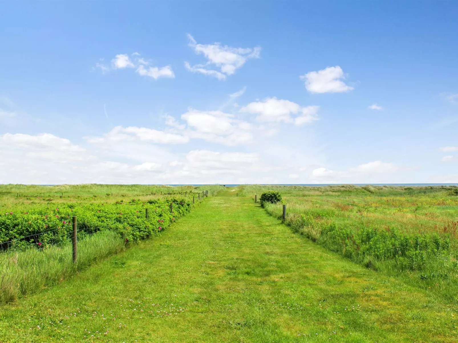 "Amdi" - 100m from the sea-Outside