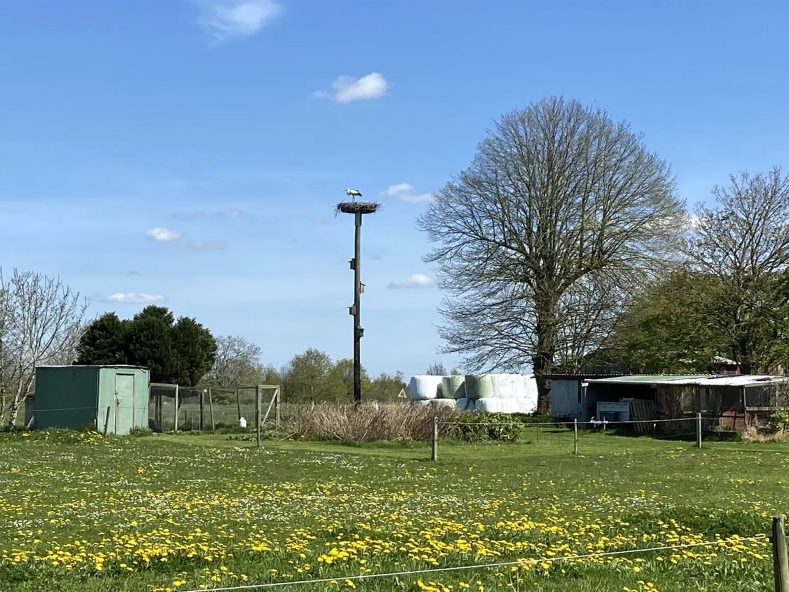 "Filippus" - 30km from the sea-Dehors