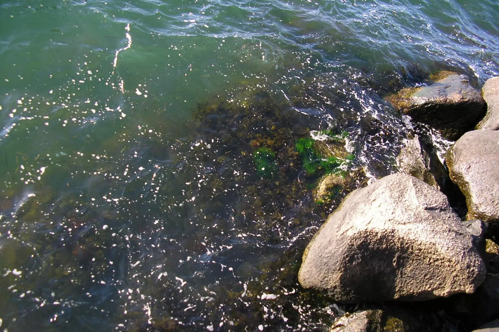 Retraite en bord de mer avec sauna -- By Traum Ferienwohnungen-Vue sur l'eau