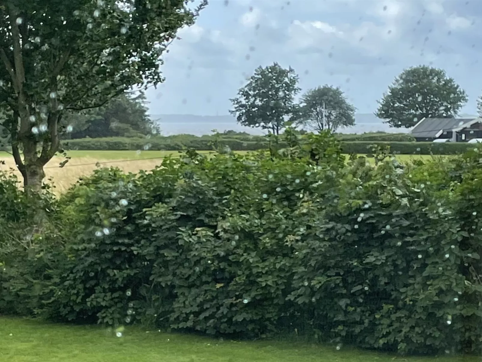 "Bjerne" - 250m to the fjord-Dehors