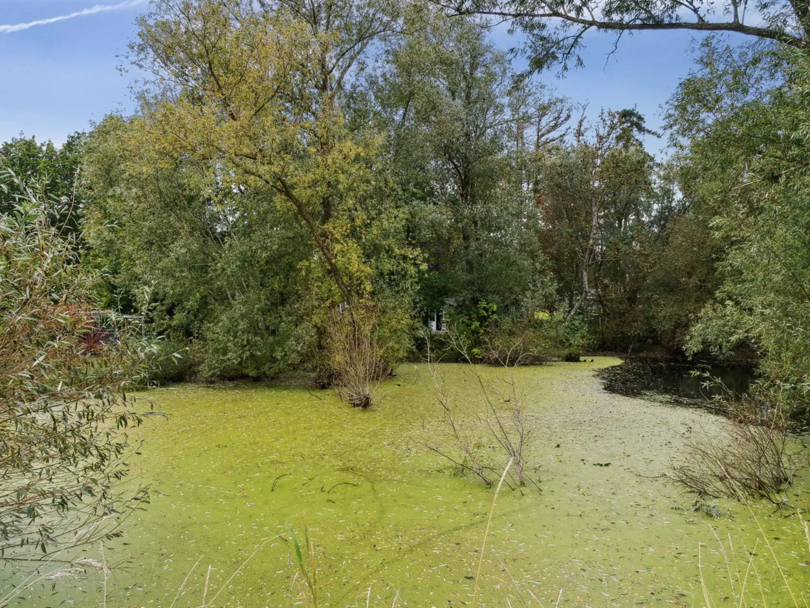 "Tessa" - 1.6km from the sea-Outside