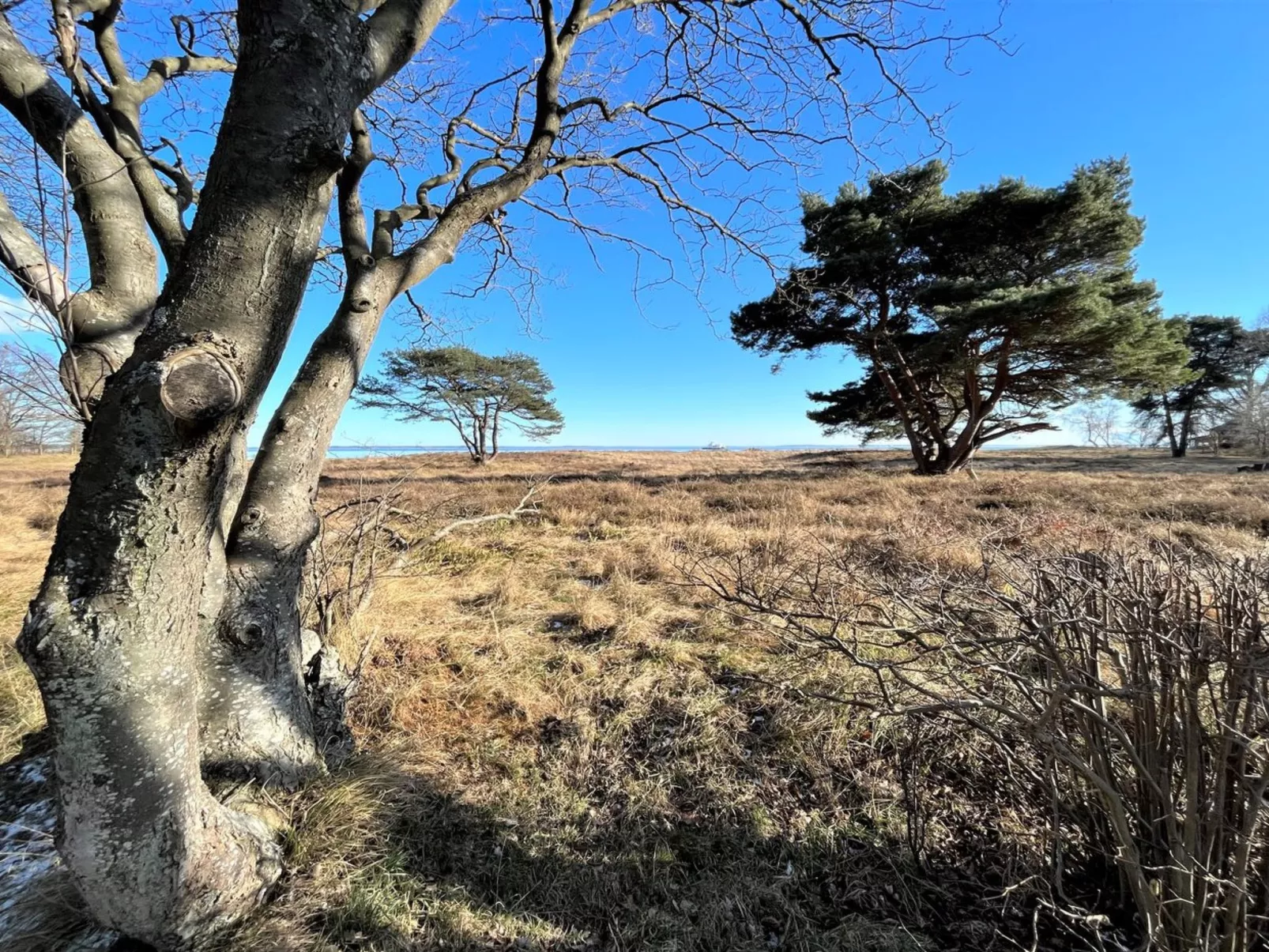 "Toska" - 100m to the fjord-Draußen