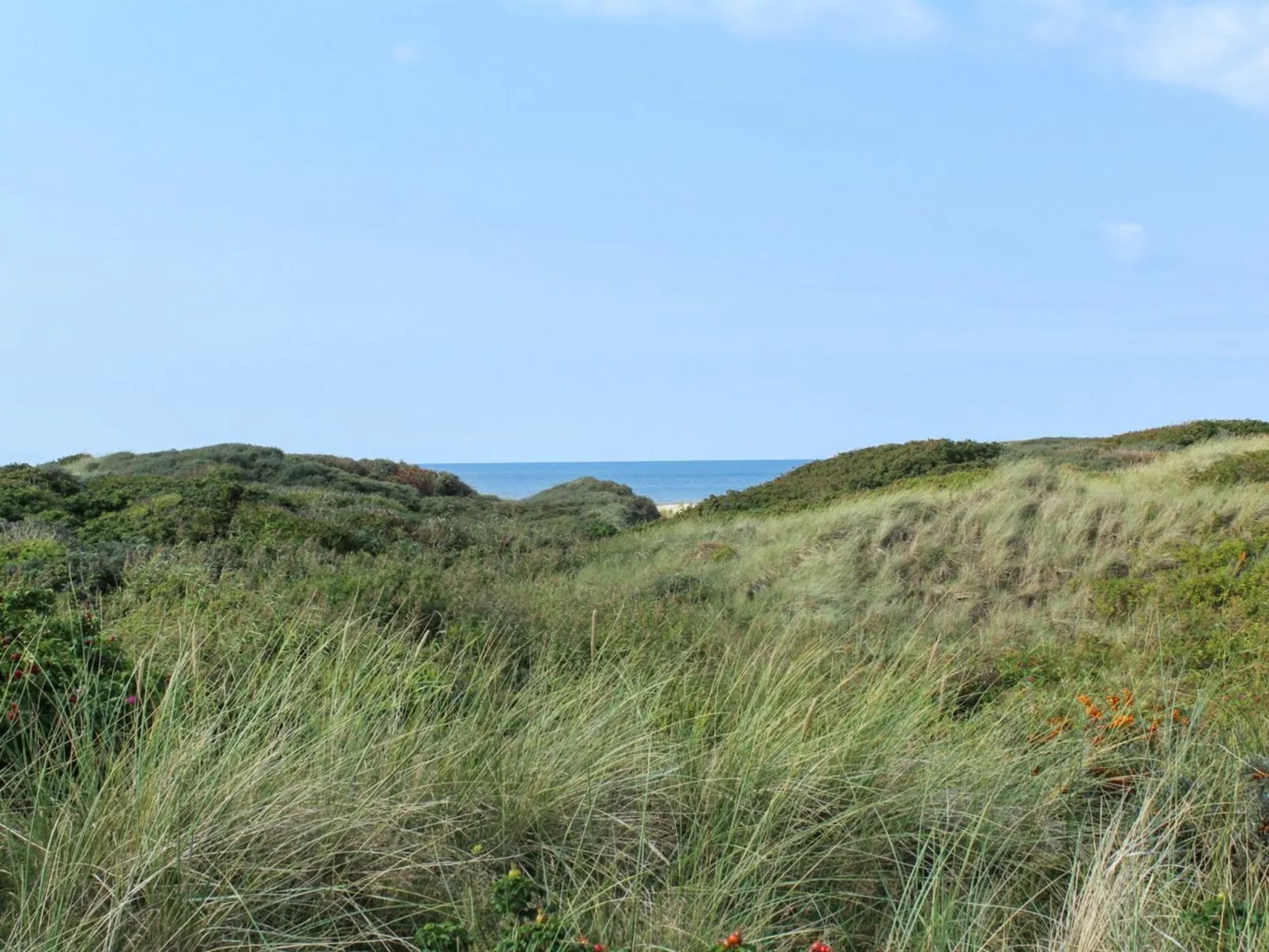 "Eunike" - 220m from the sea-Outside