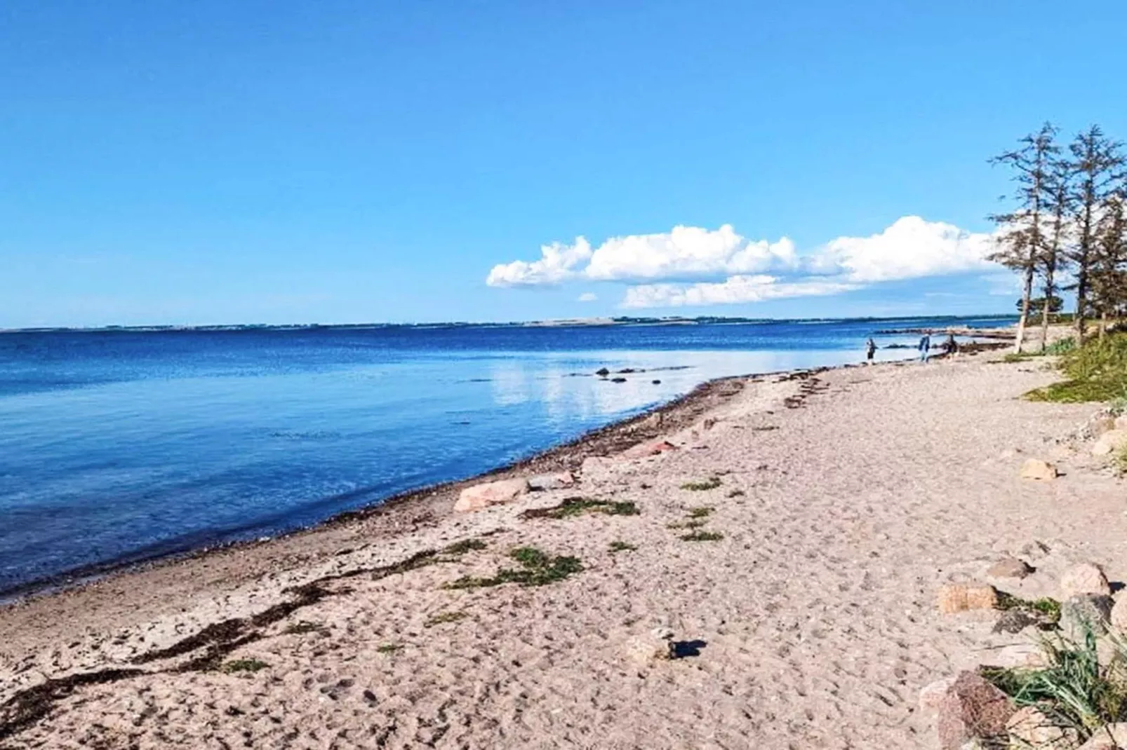 4 etoiles maison de vacances a Gørlev-By Traum-Vue sur l'eau