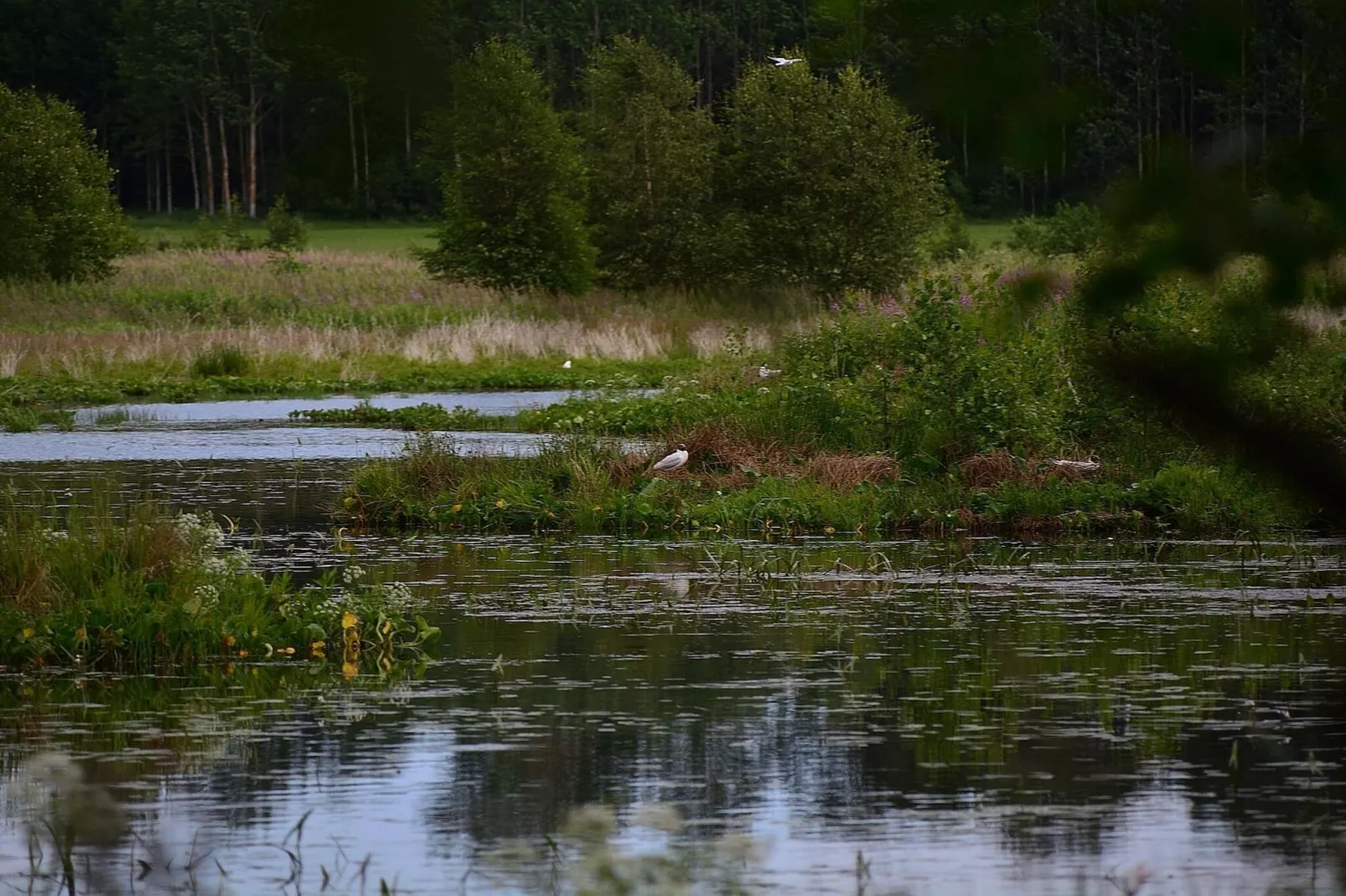 4 etoiles maison de vacances a SÖDERALA-By Traum-Vue sur l'eau