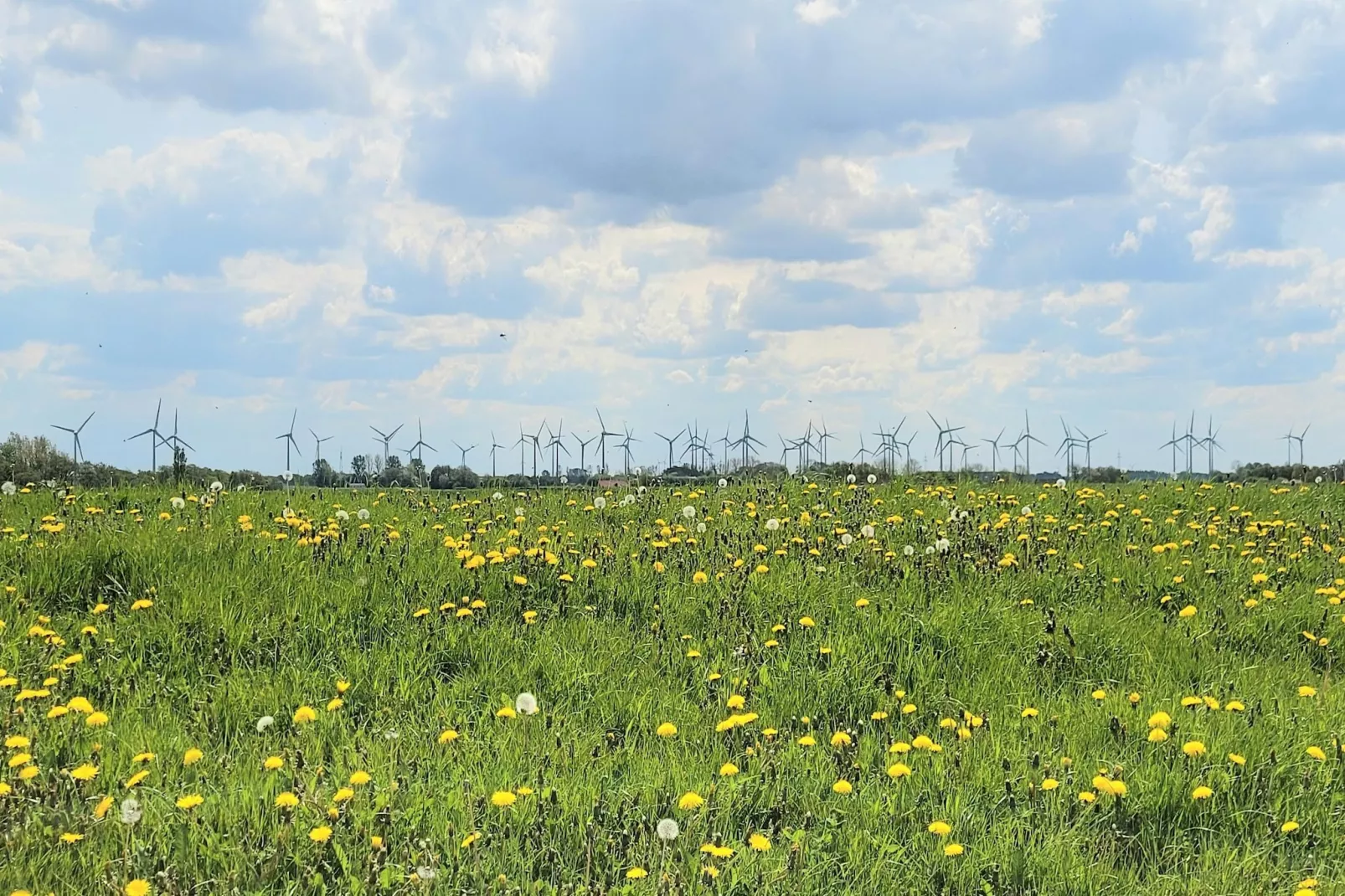 Ferienhaus Seeschwalbe-Areas within 5km in summer