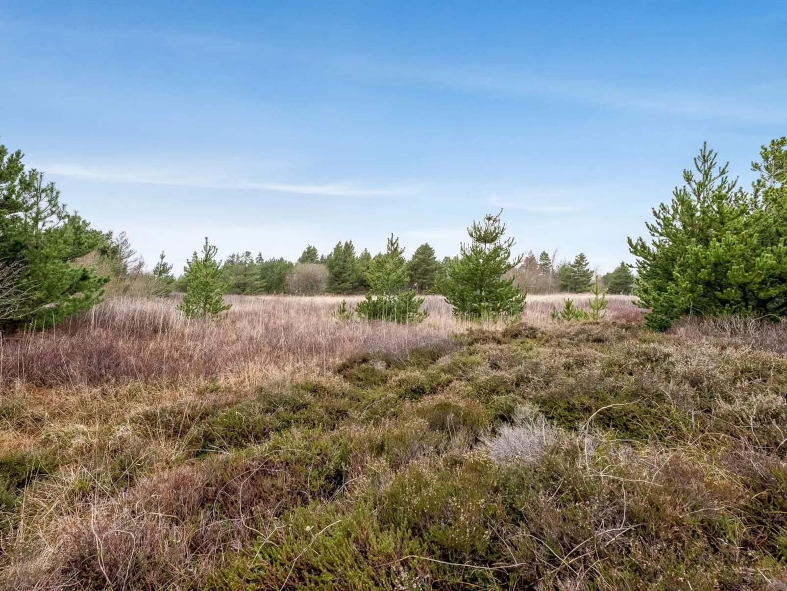 "Elpida" - 2km from the sea-Draußen