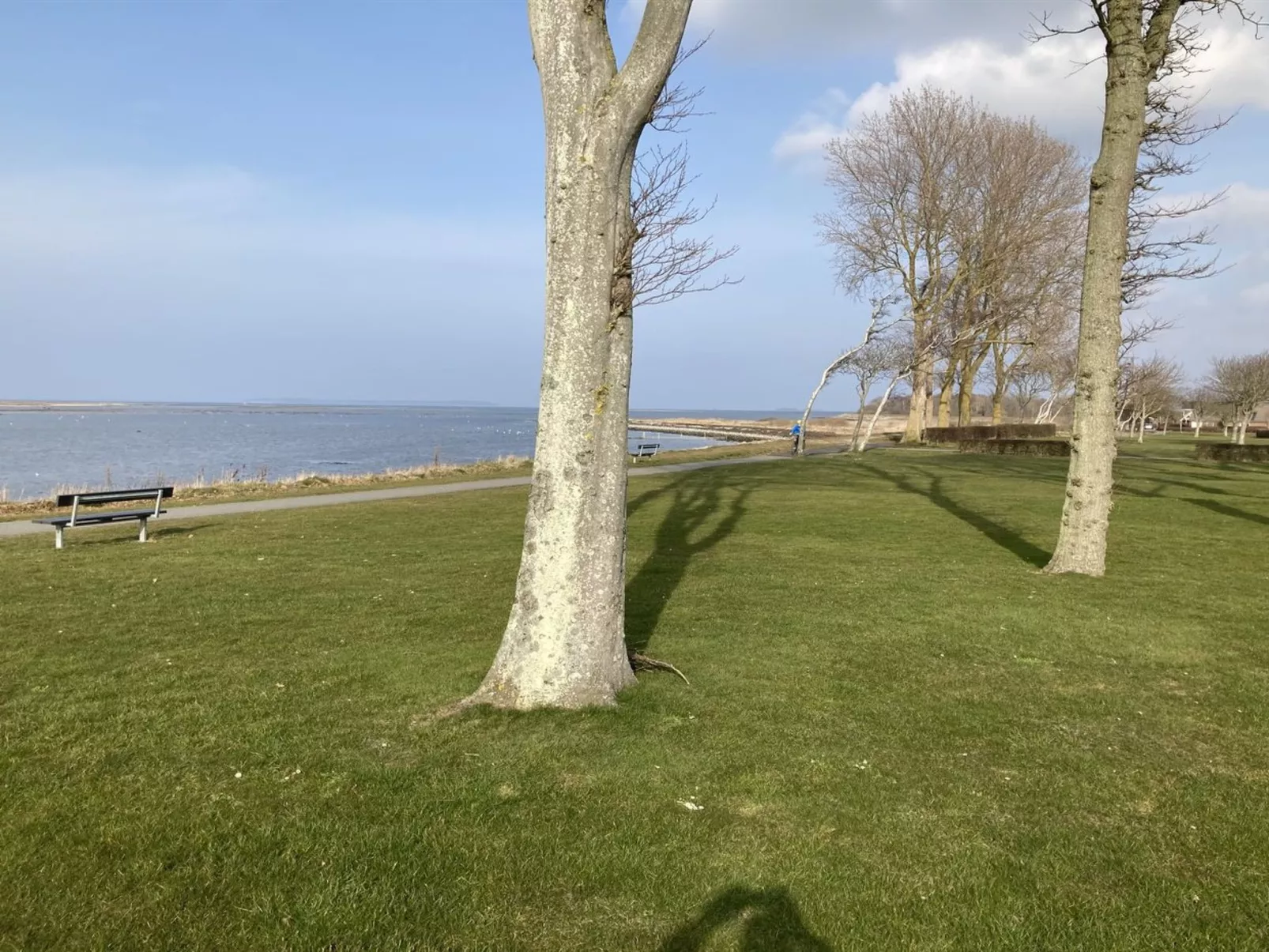 "Ala" - 80m from the sea-Draußen