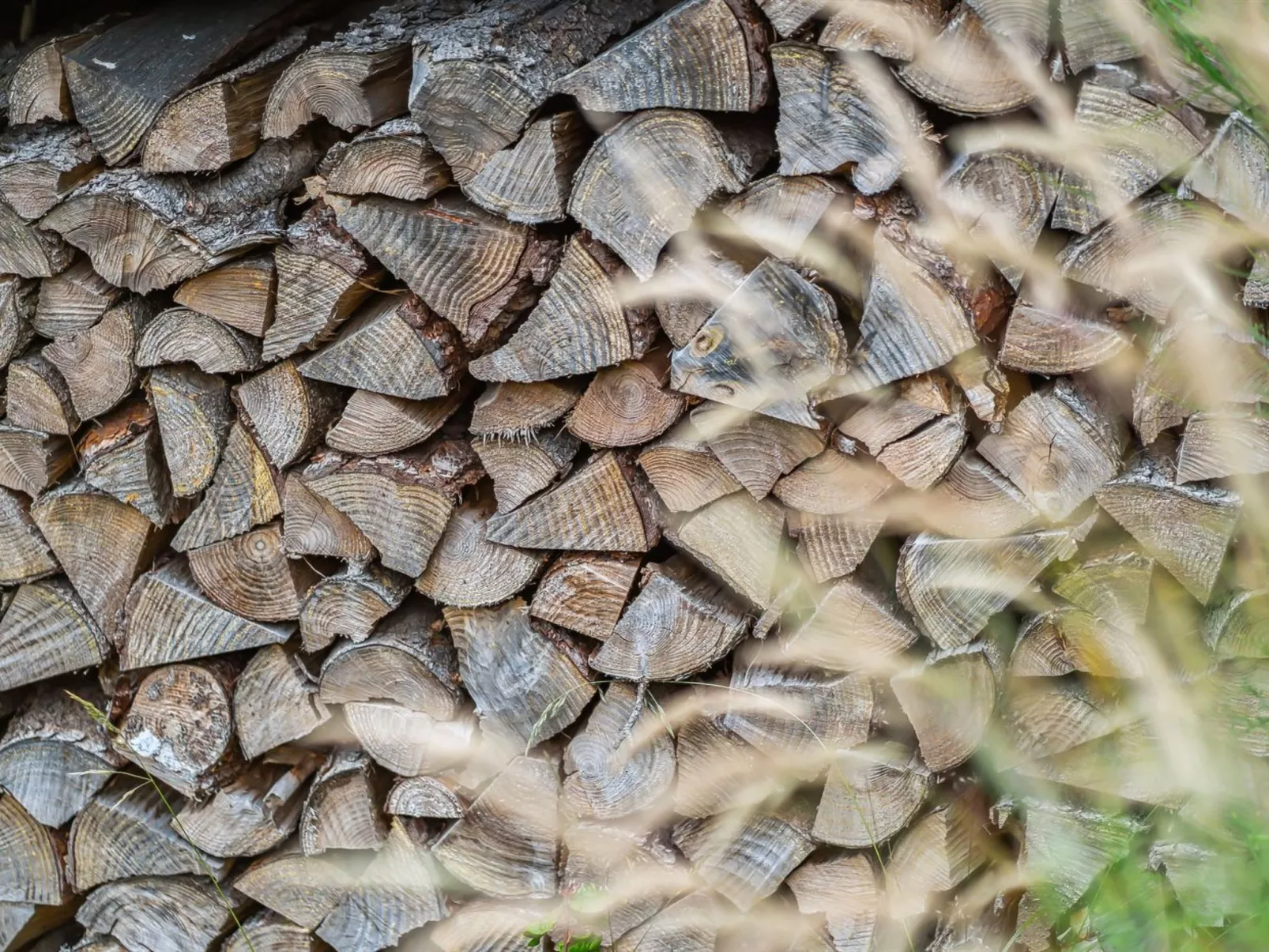 "Karlene" - 300m from the sea-Outside