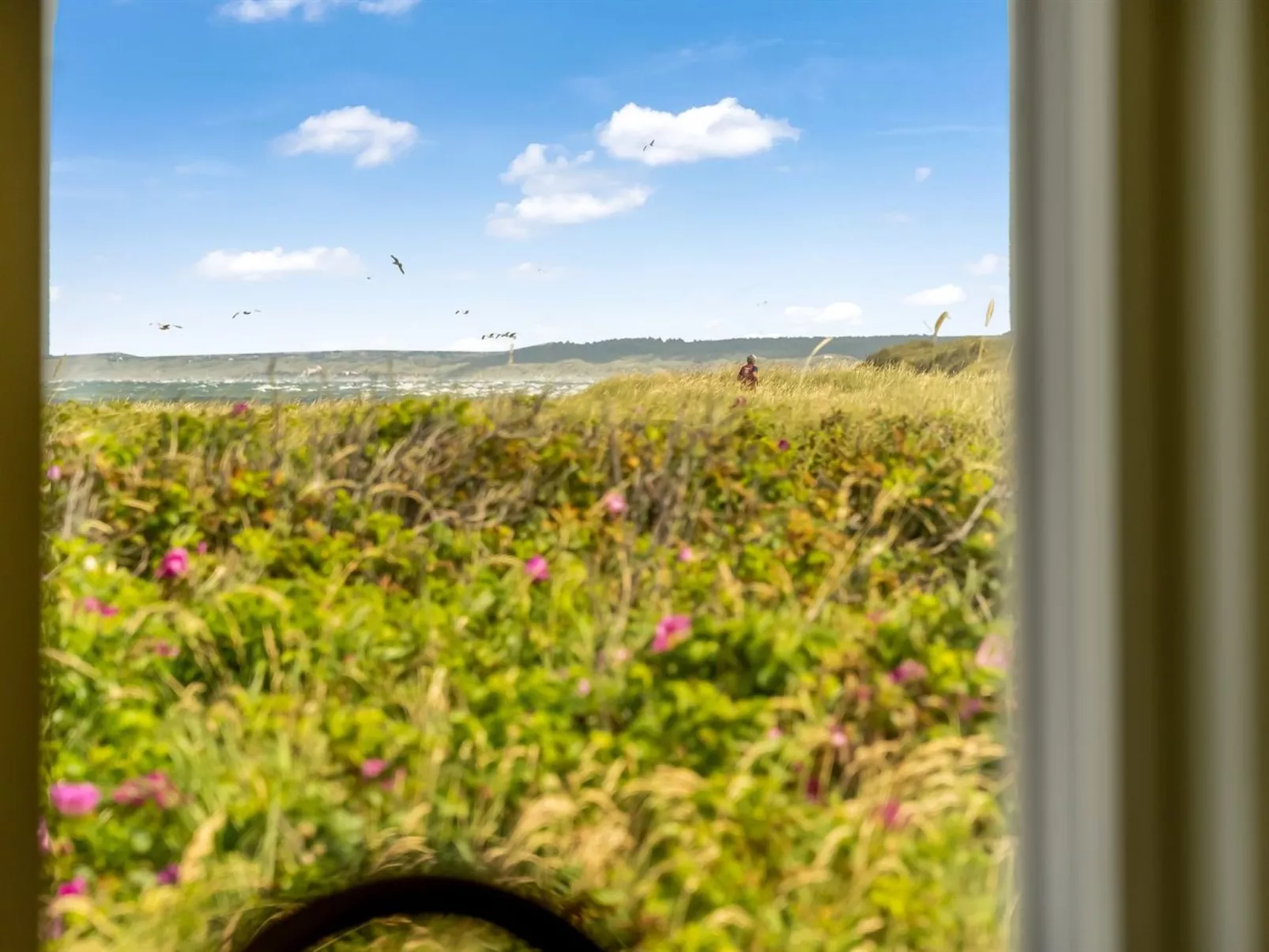 "Zina" - 50m from the sea-Dehors