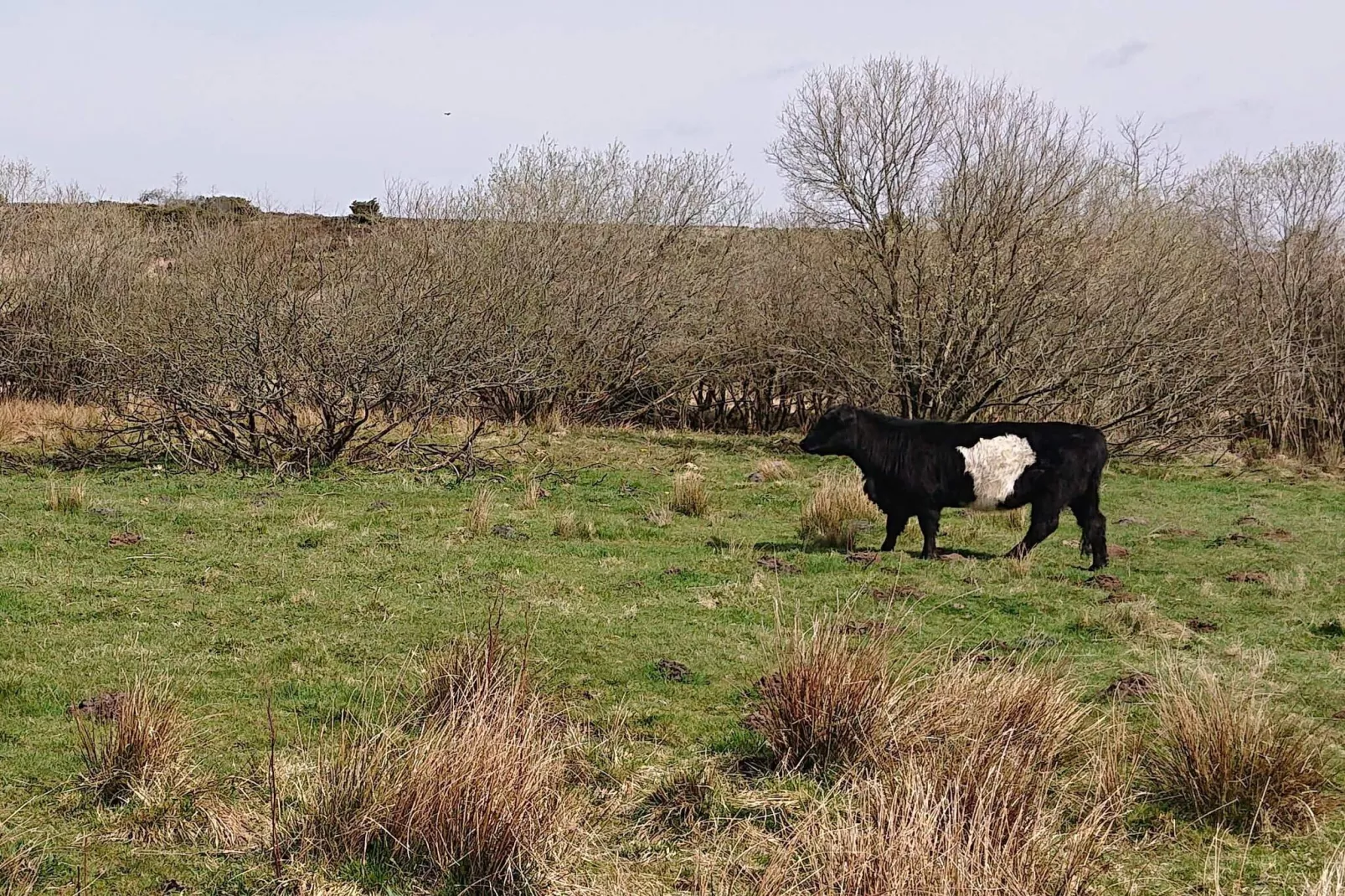 4 Sterne Ferienhaus in Hovborg-By Traum-Nicht zugeordnet
