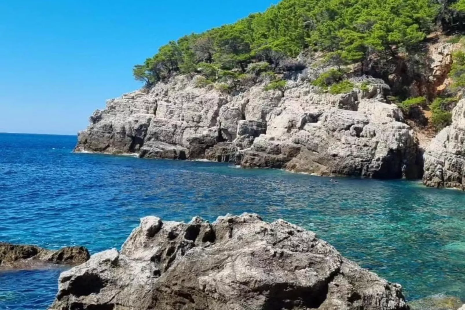 Apartments Franka Saplunara-Twin Room with Terrace and Sea view  No1-Ambiente